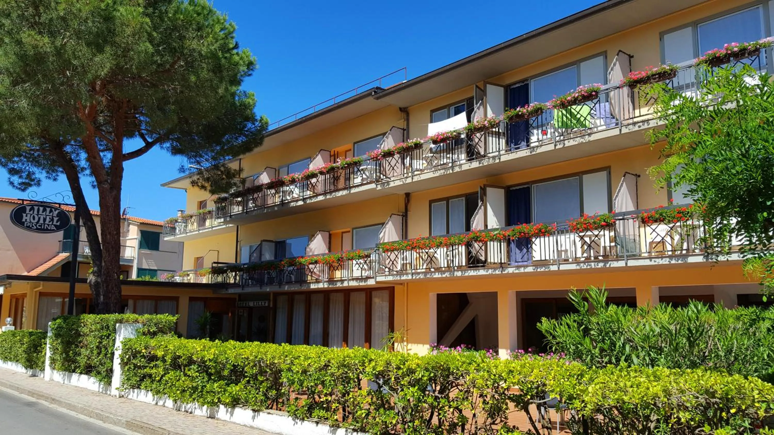 Property building in Hotel Lilly