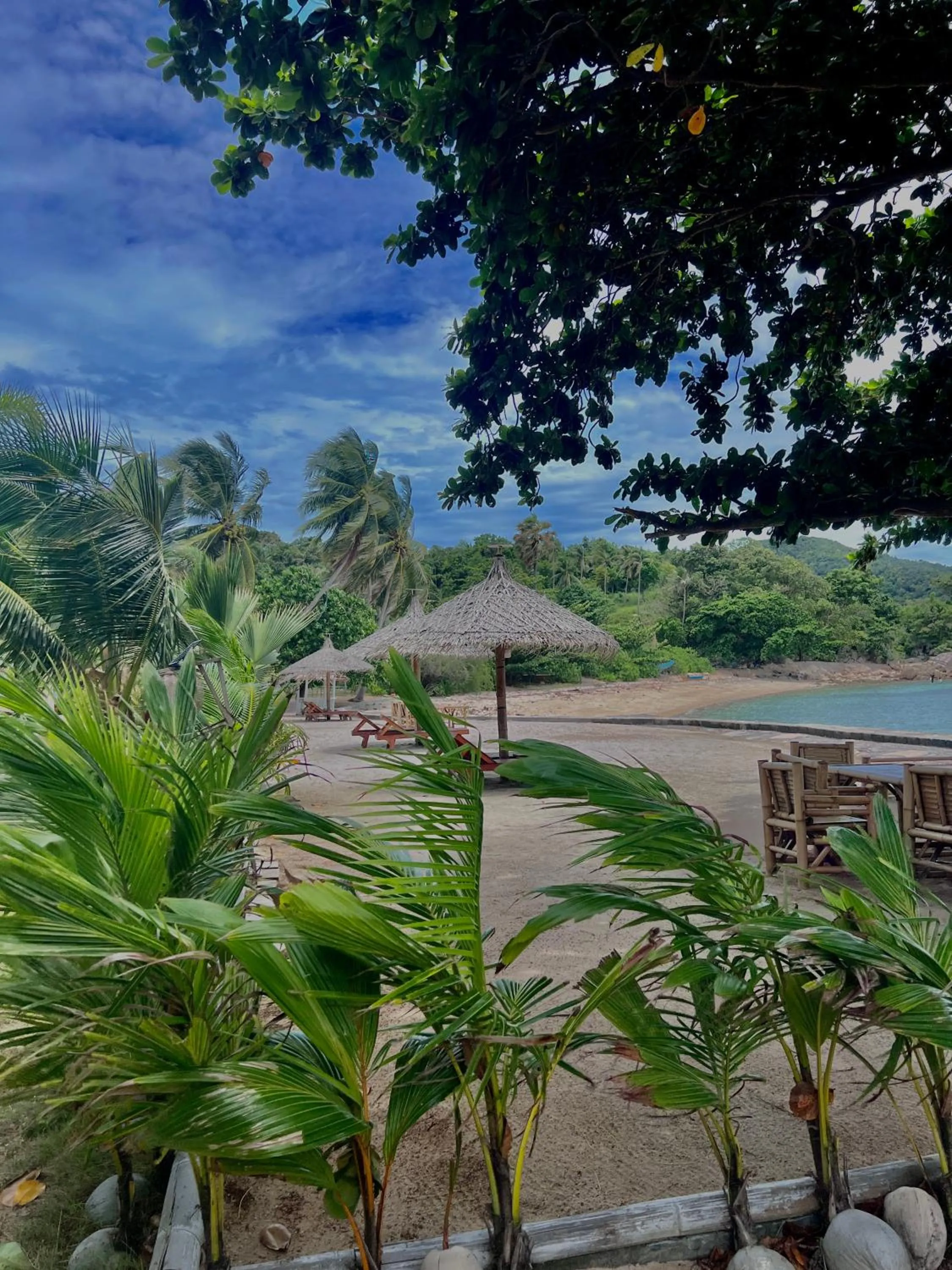 Natural landscape in Sense Asia