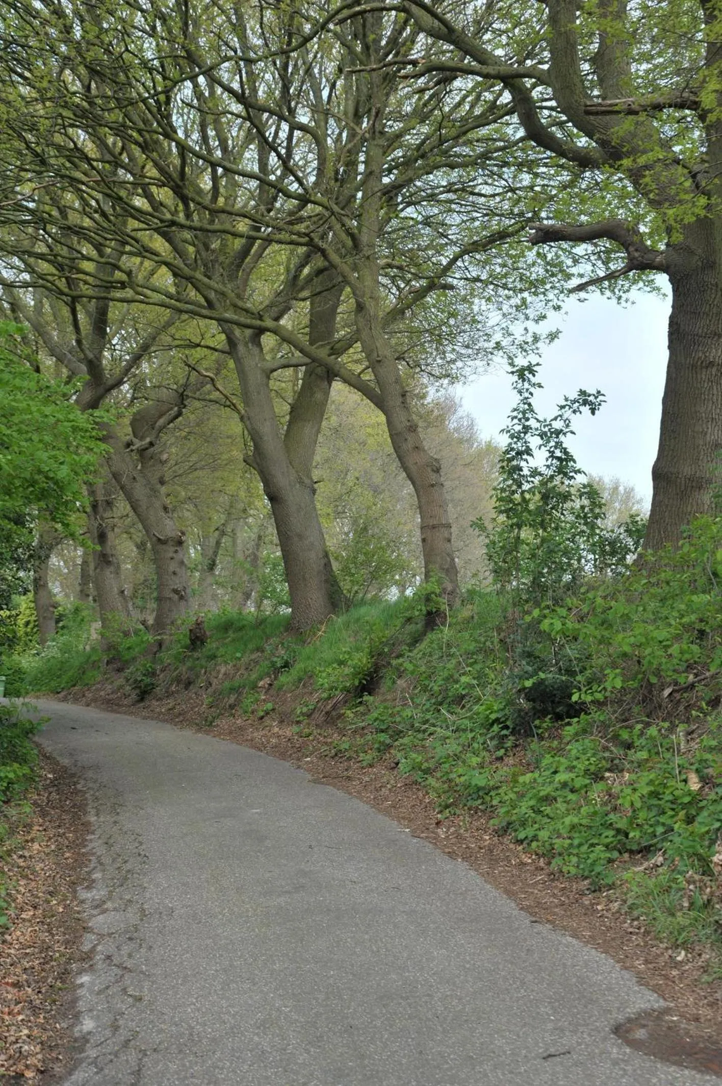 B&B Op de Brabantse Wal