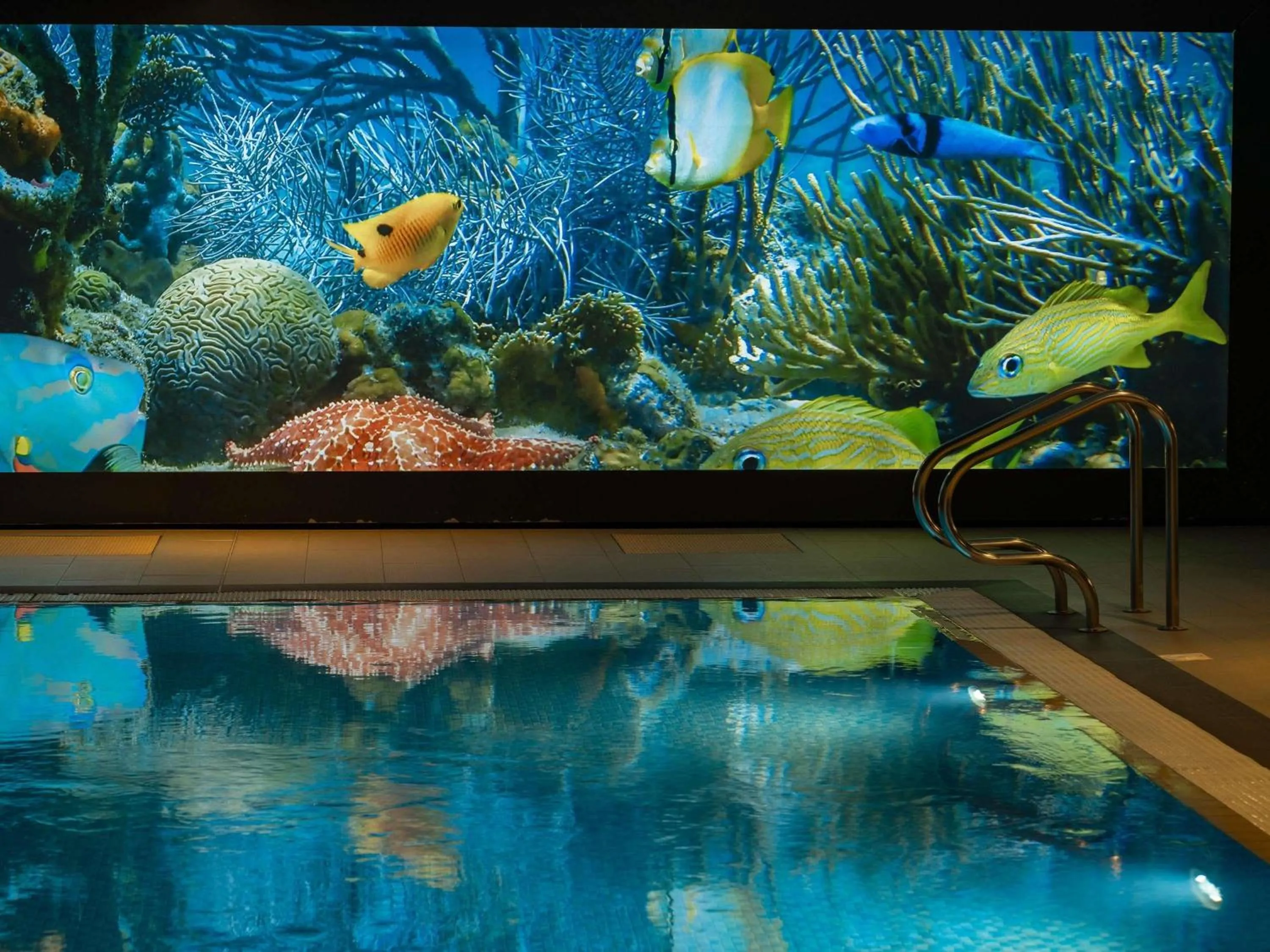 Pool view in Novotel London Brentford