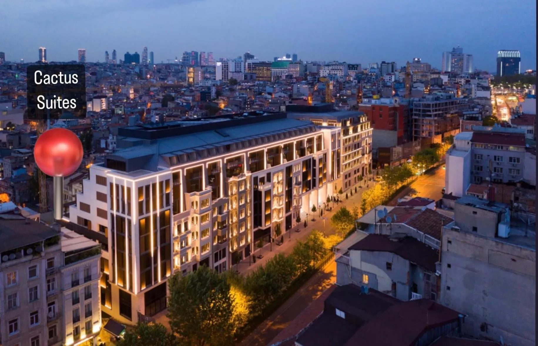 Cactus Suites