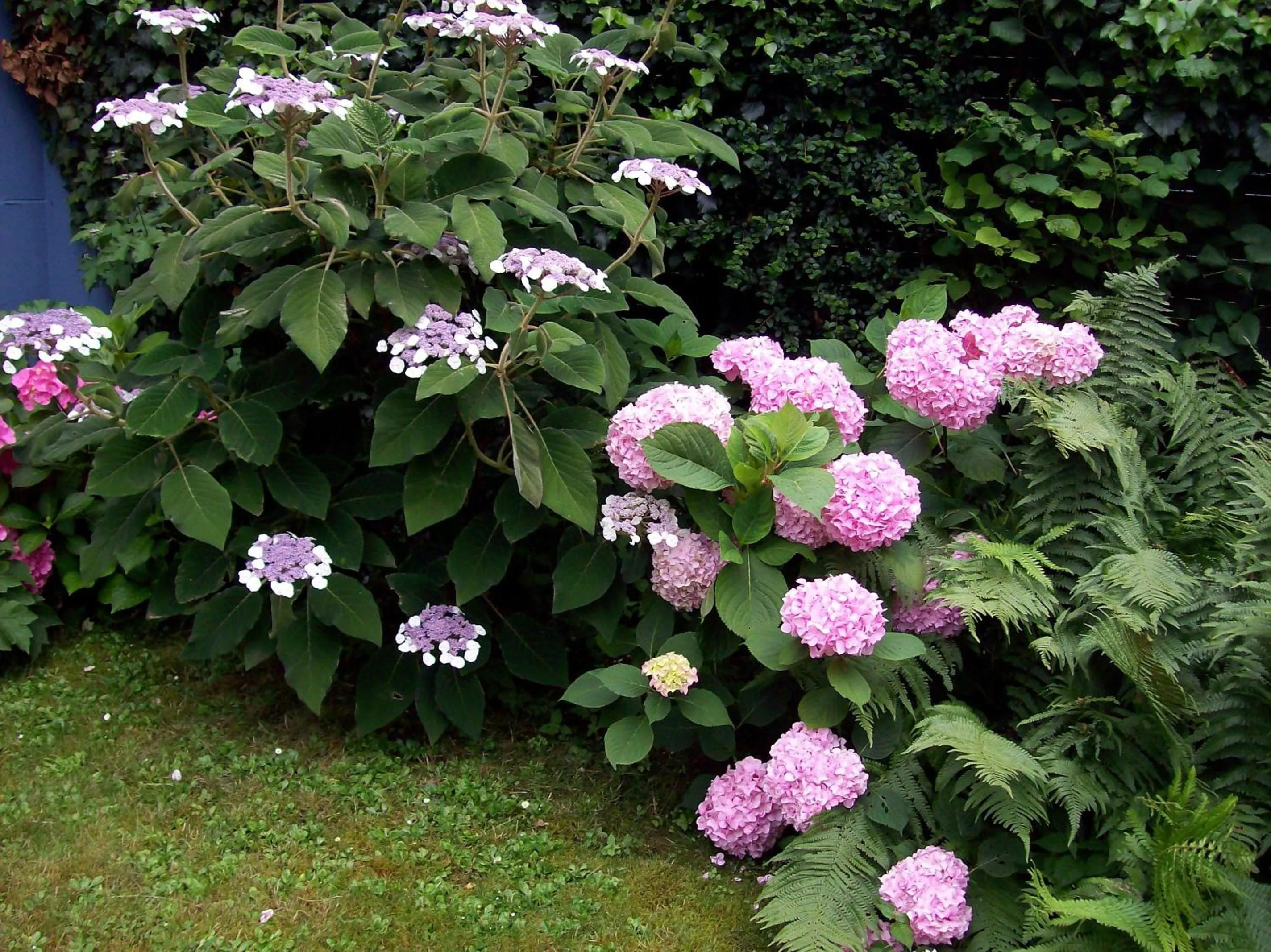 Garden in Chez Jean et Daisy