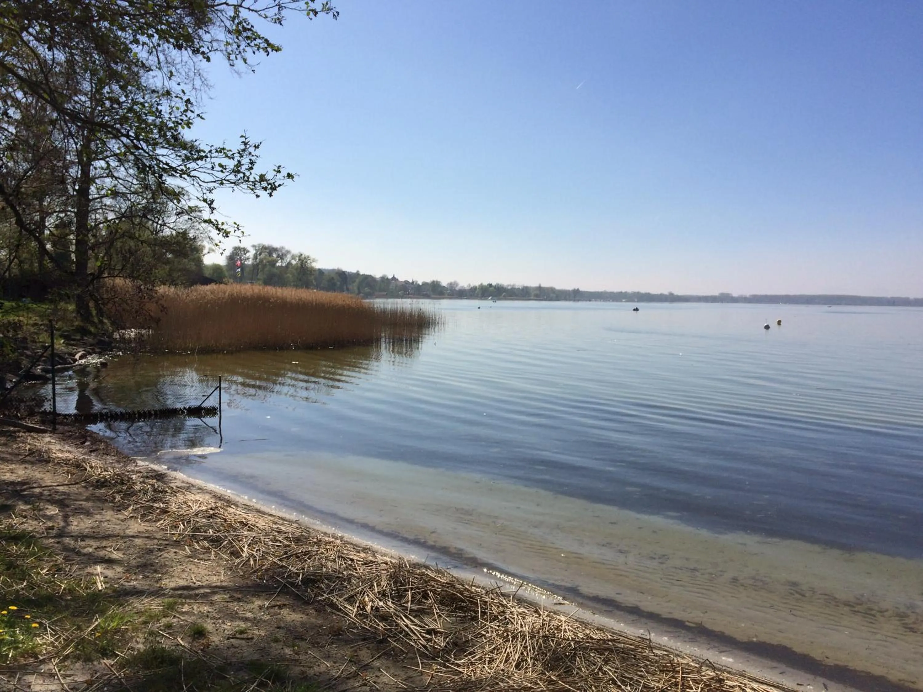 Beach in Morat Gaste Zimmer