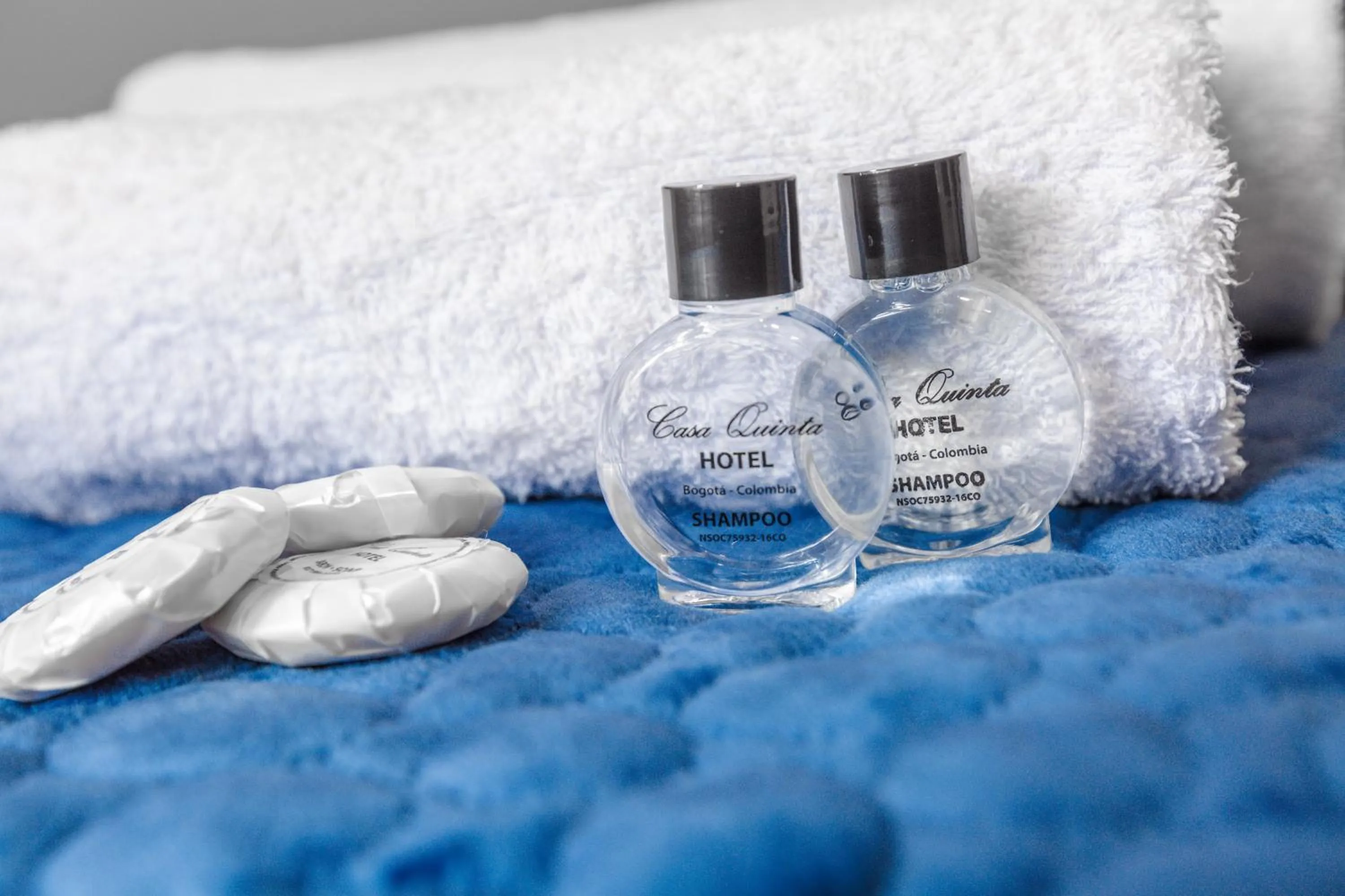 Decorative detail, Bed in Hotel Casa Quinta Embajada