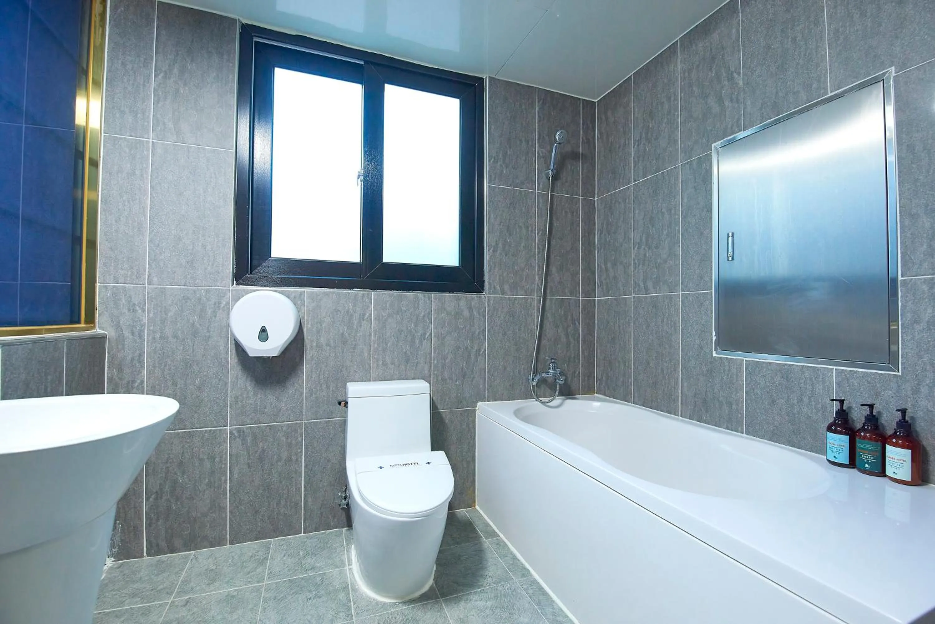 Hotel Danube Seomyeon