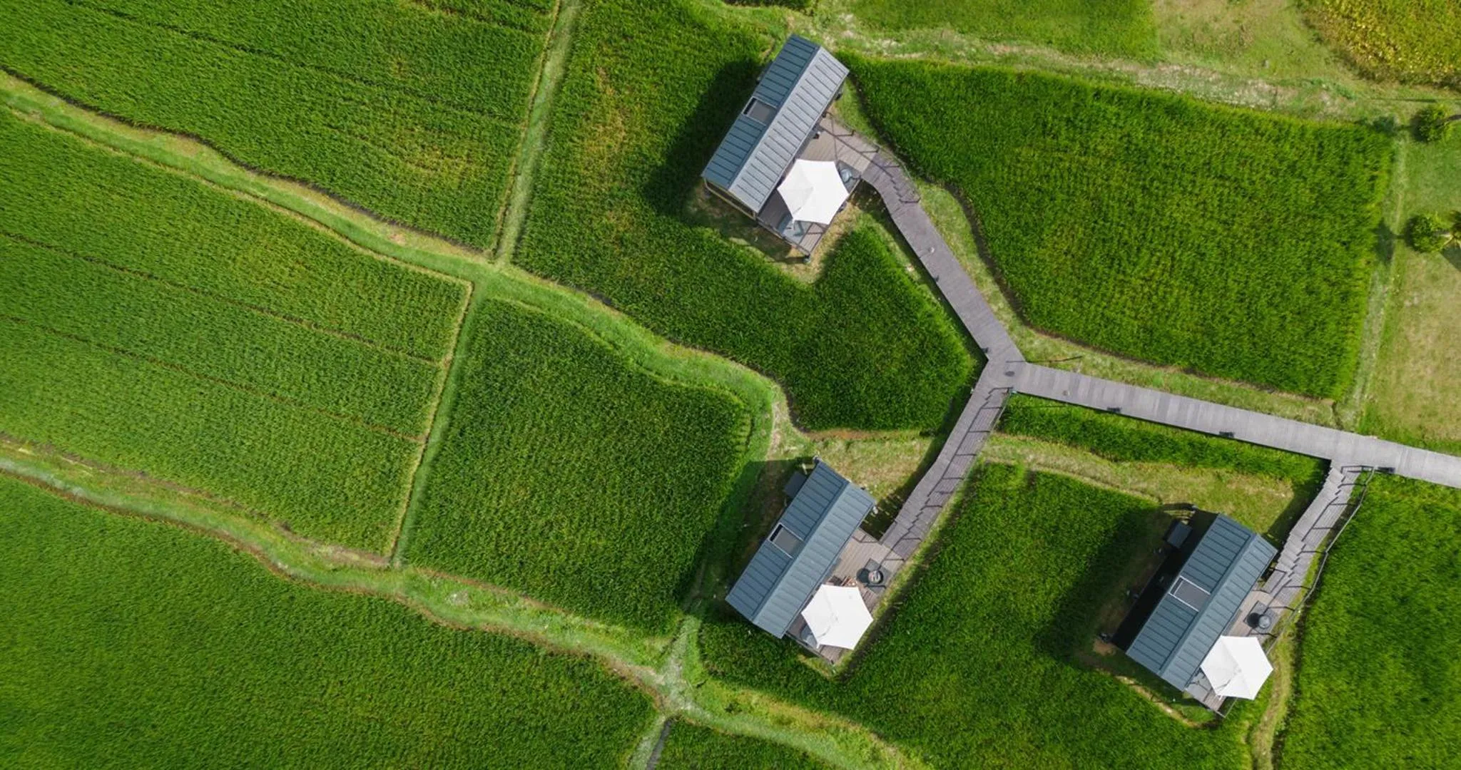 Natural landscape in Bobocabin Ubud, Bali