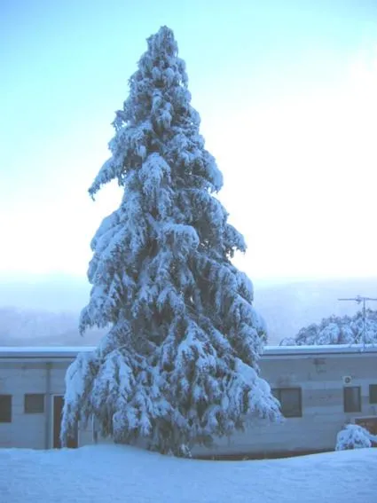 Winter in Karelia Alpine Lodge