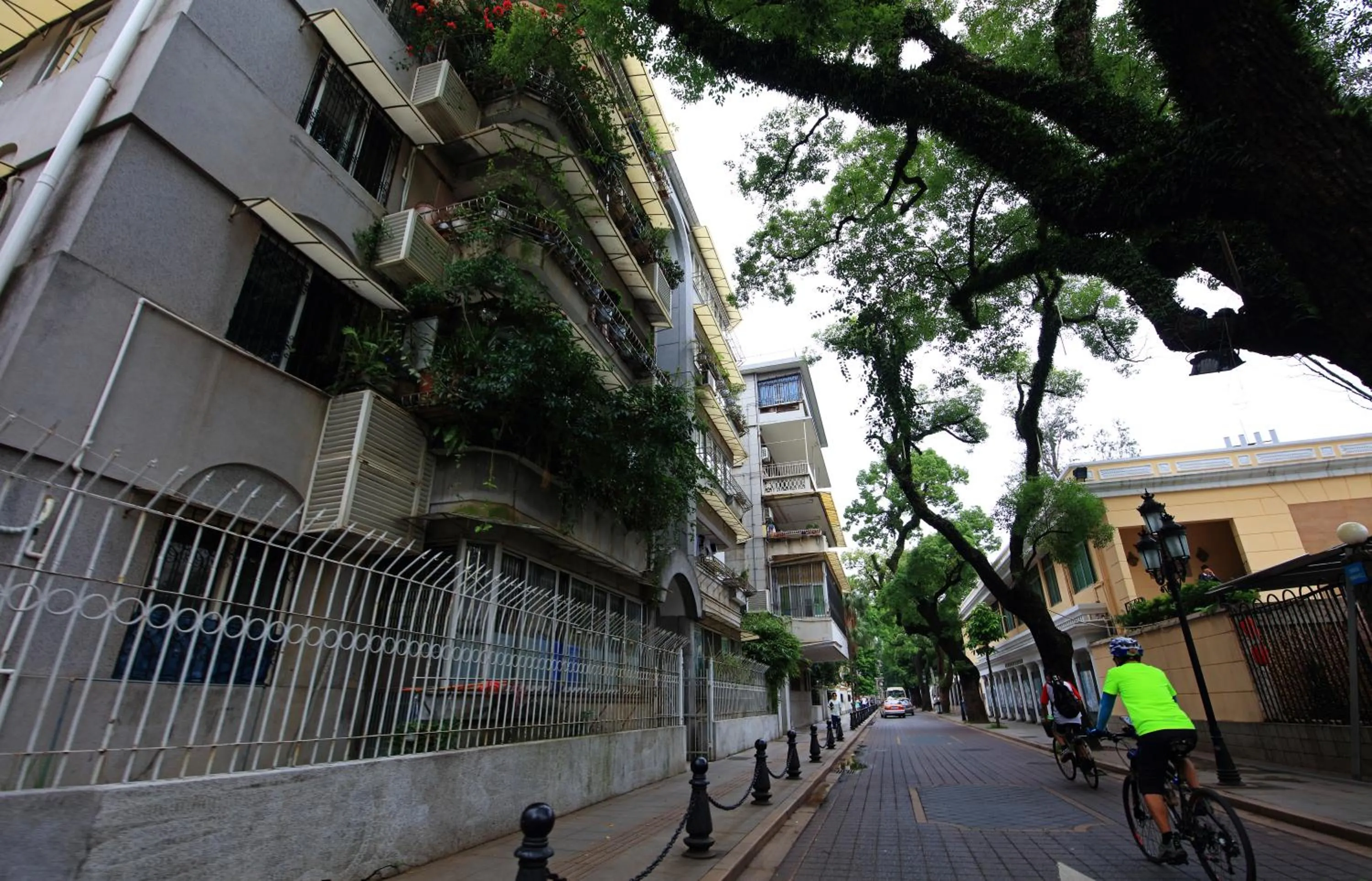 Natural landscape in Nanfang Dasha Hotel