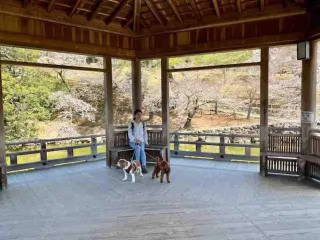 Residence Ferie Nara station