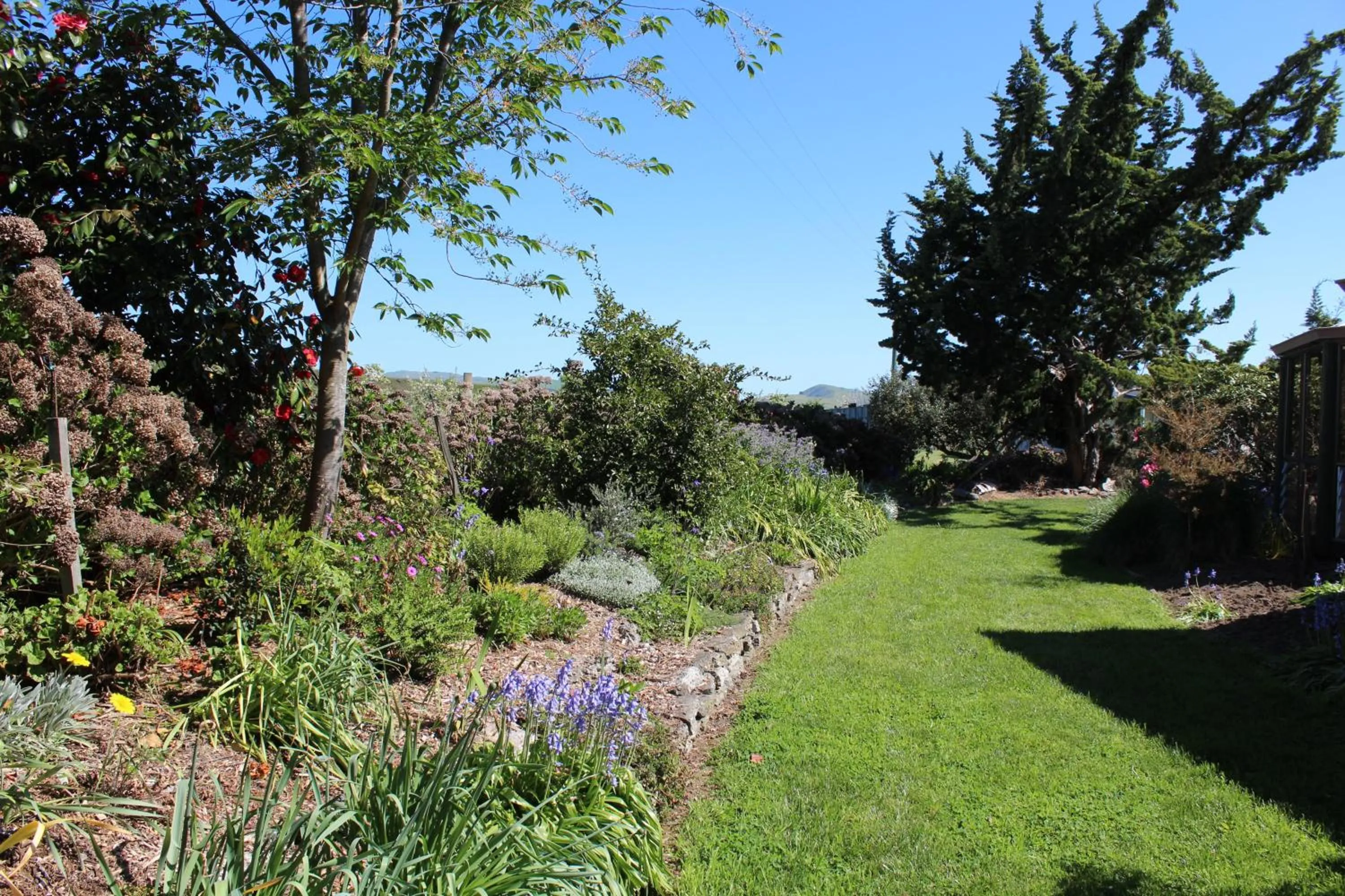 Garden in Bluebell Lodge and Cottage