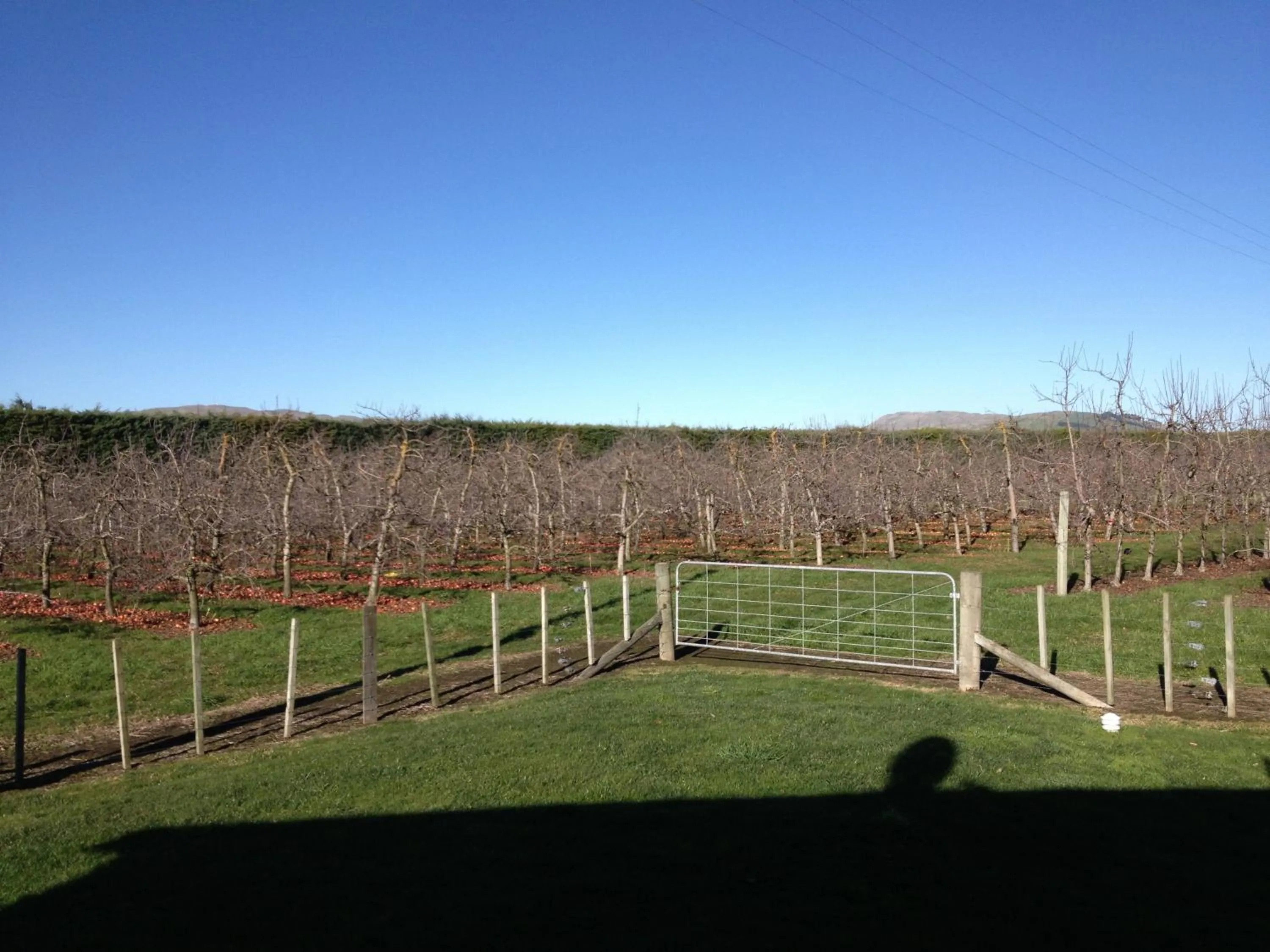 Mountain view in Bluebell Lodge and Cottage