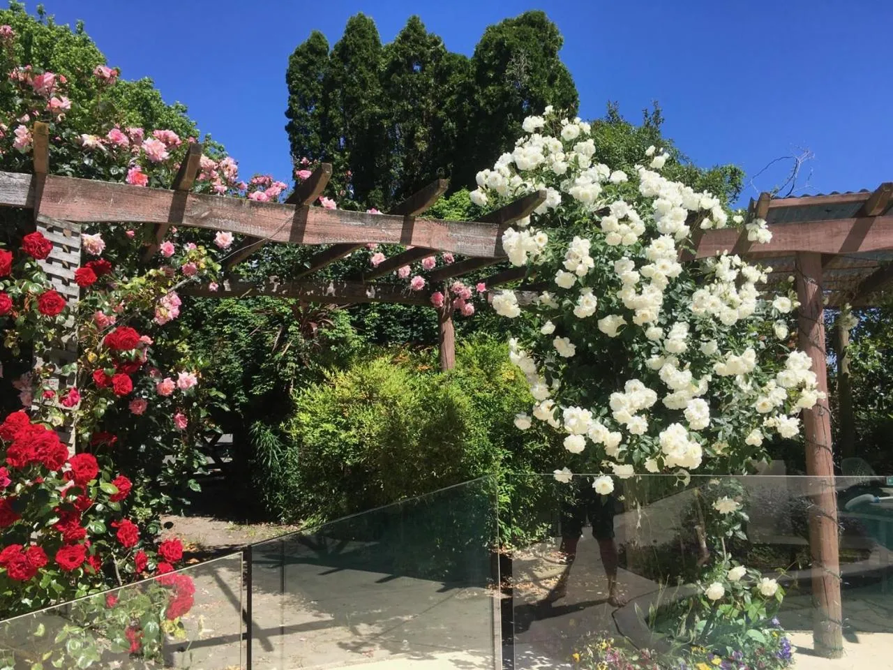 Garden in Bluebell Lodge and Cottage
