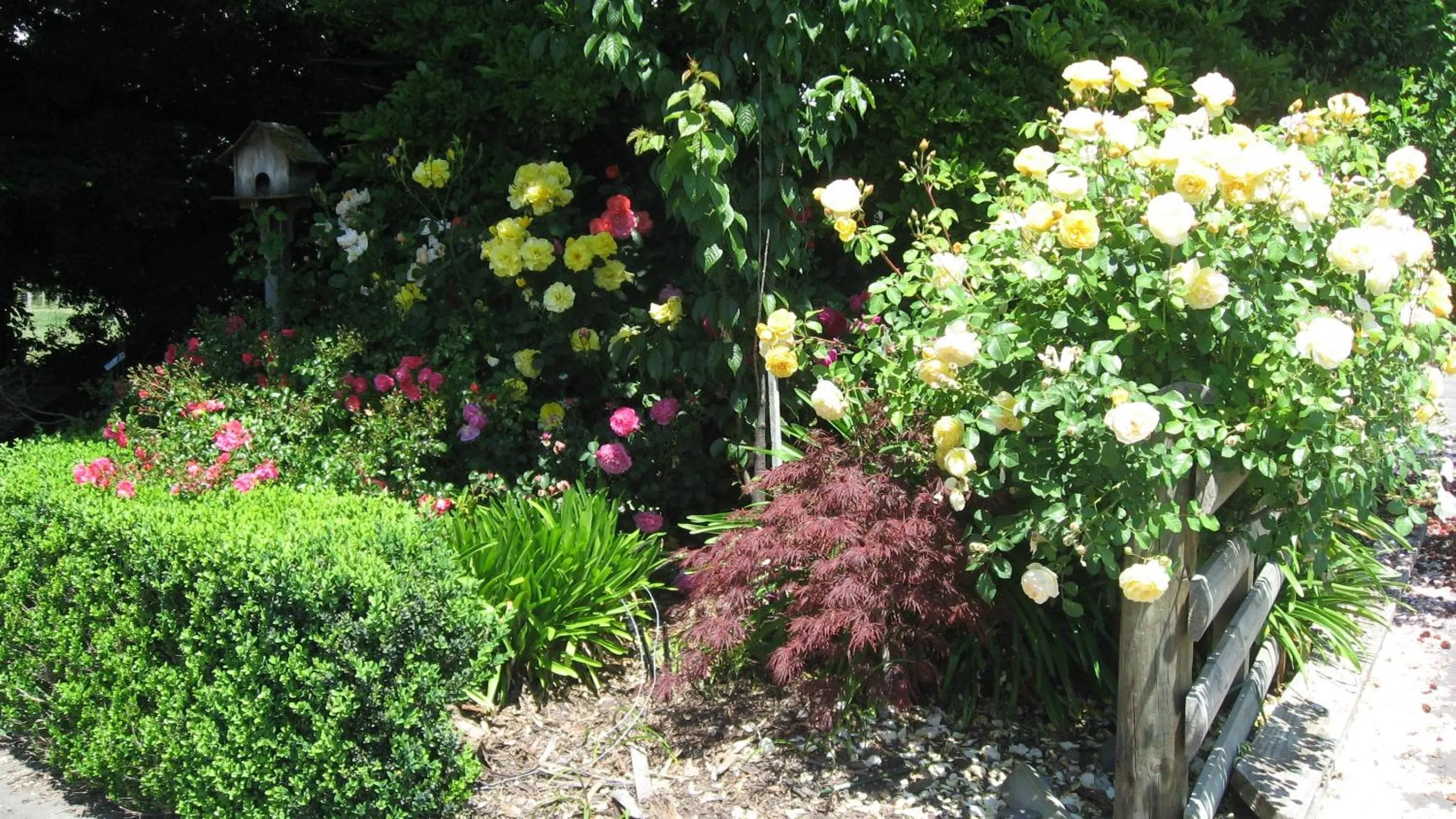 On site in Bluebell Lodge and Cottage