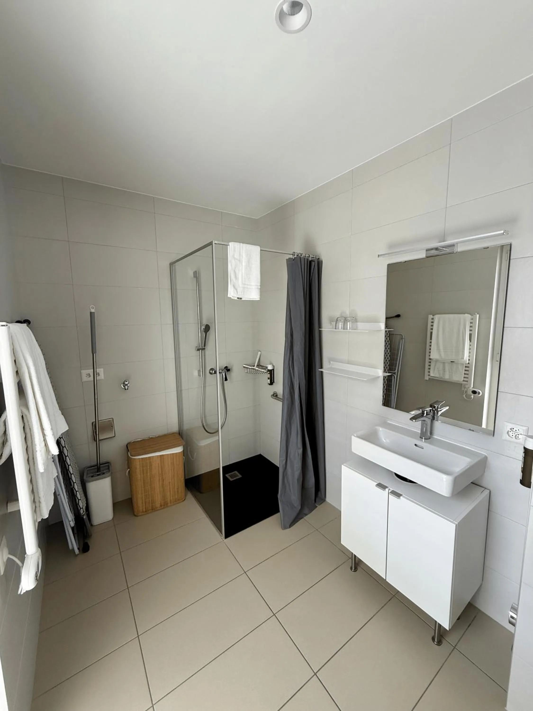 Shower in Alp Art Hotel Monthey