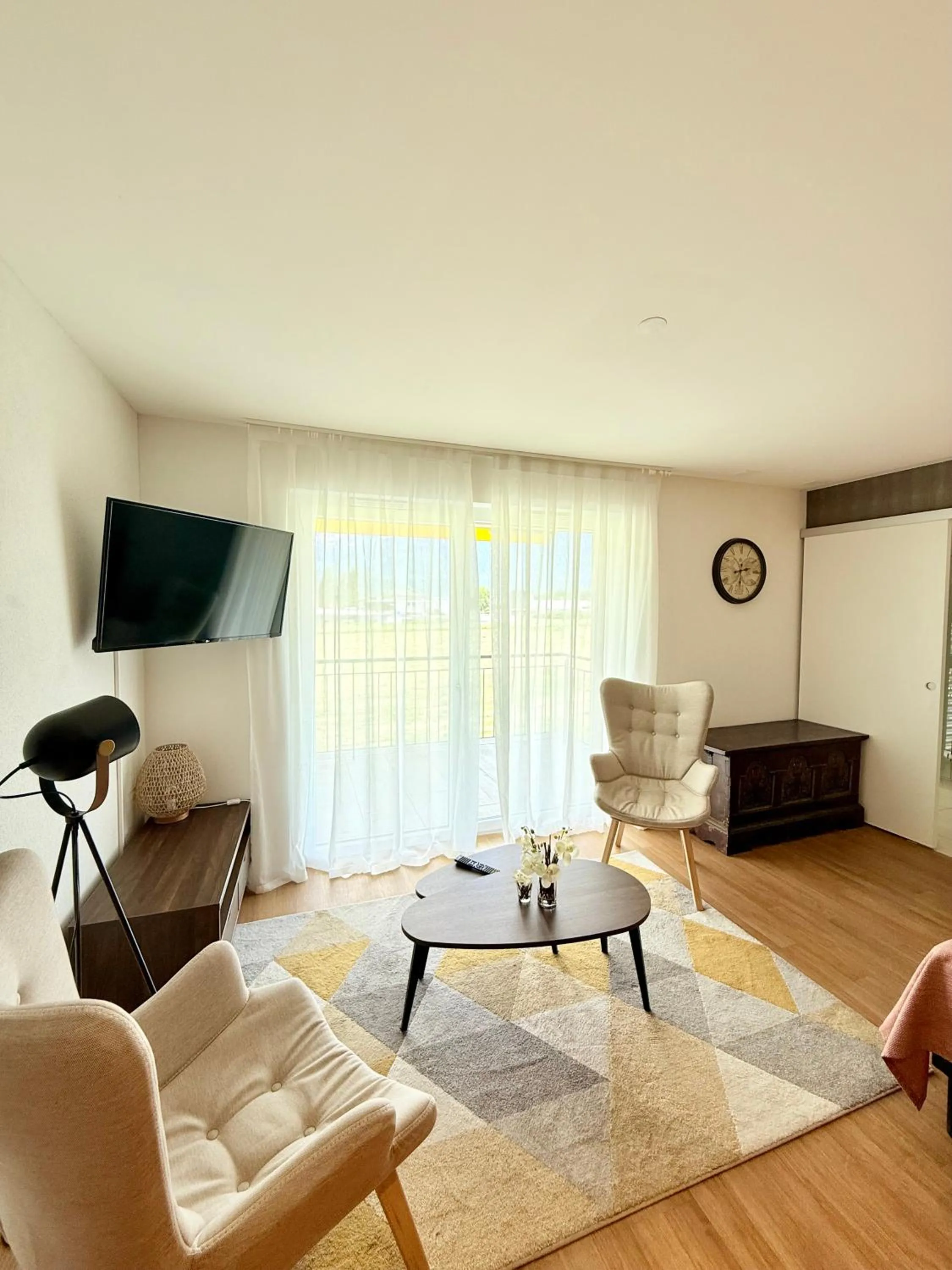 TV and multimedia in Alp Art Hotel Monthey