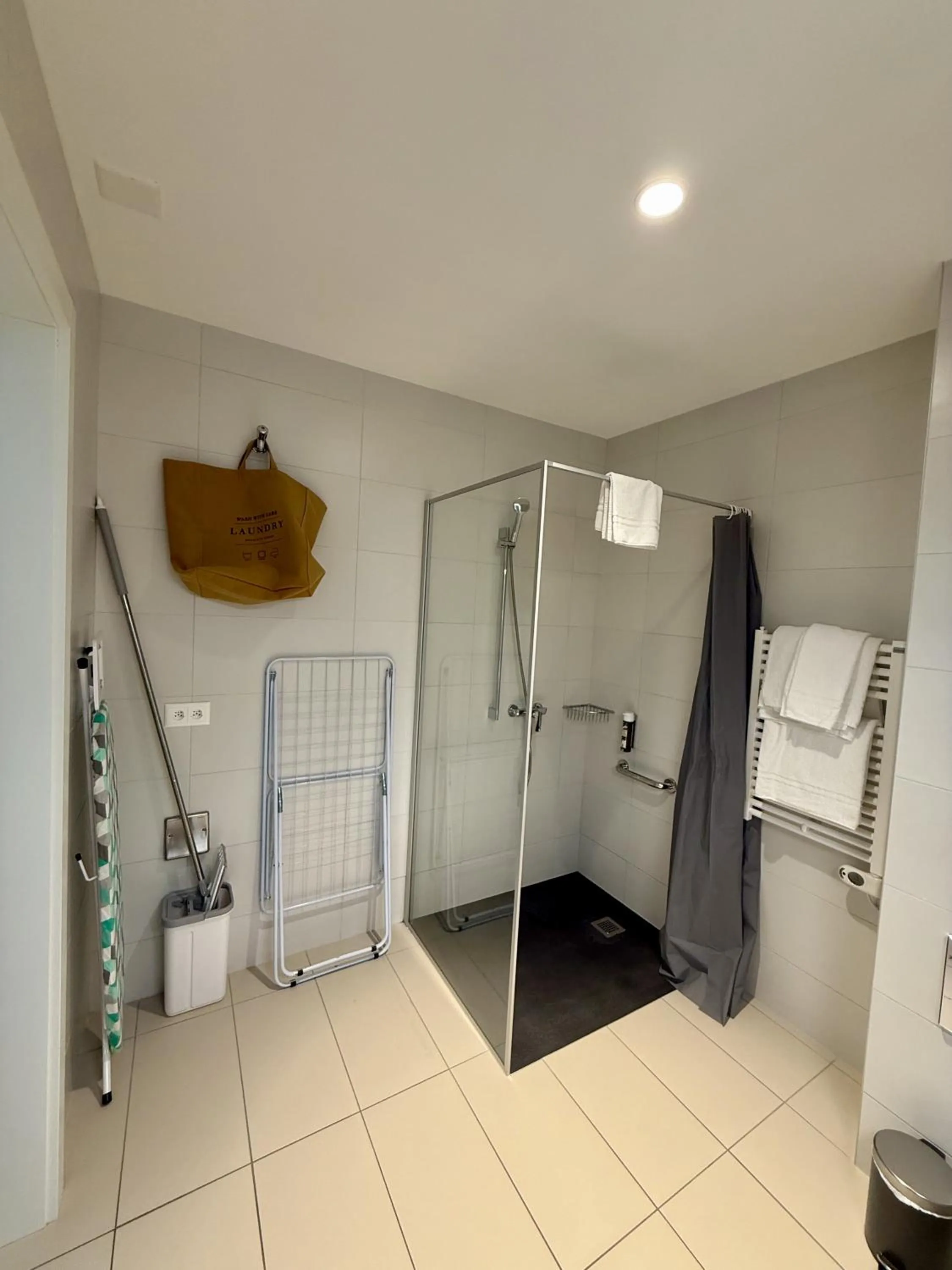 Shower in Alp Art Hotel Monthey