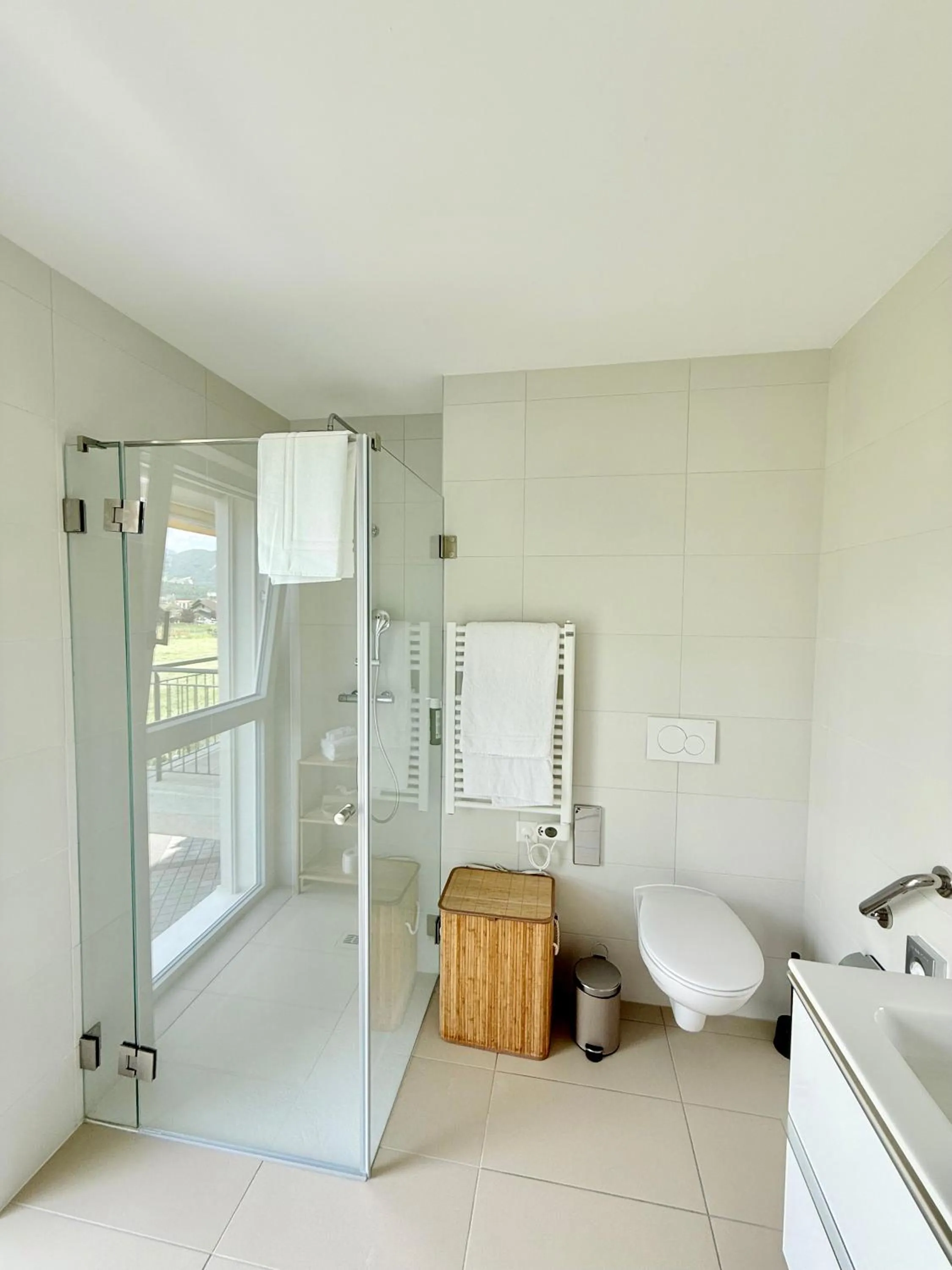 Shower in Alp Art Hotel Monthey