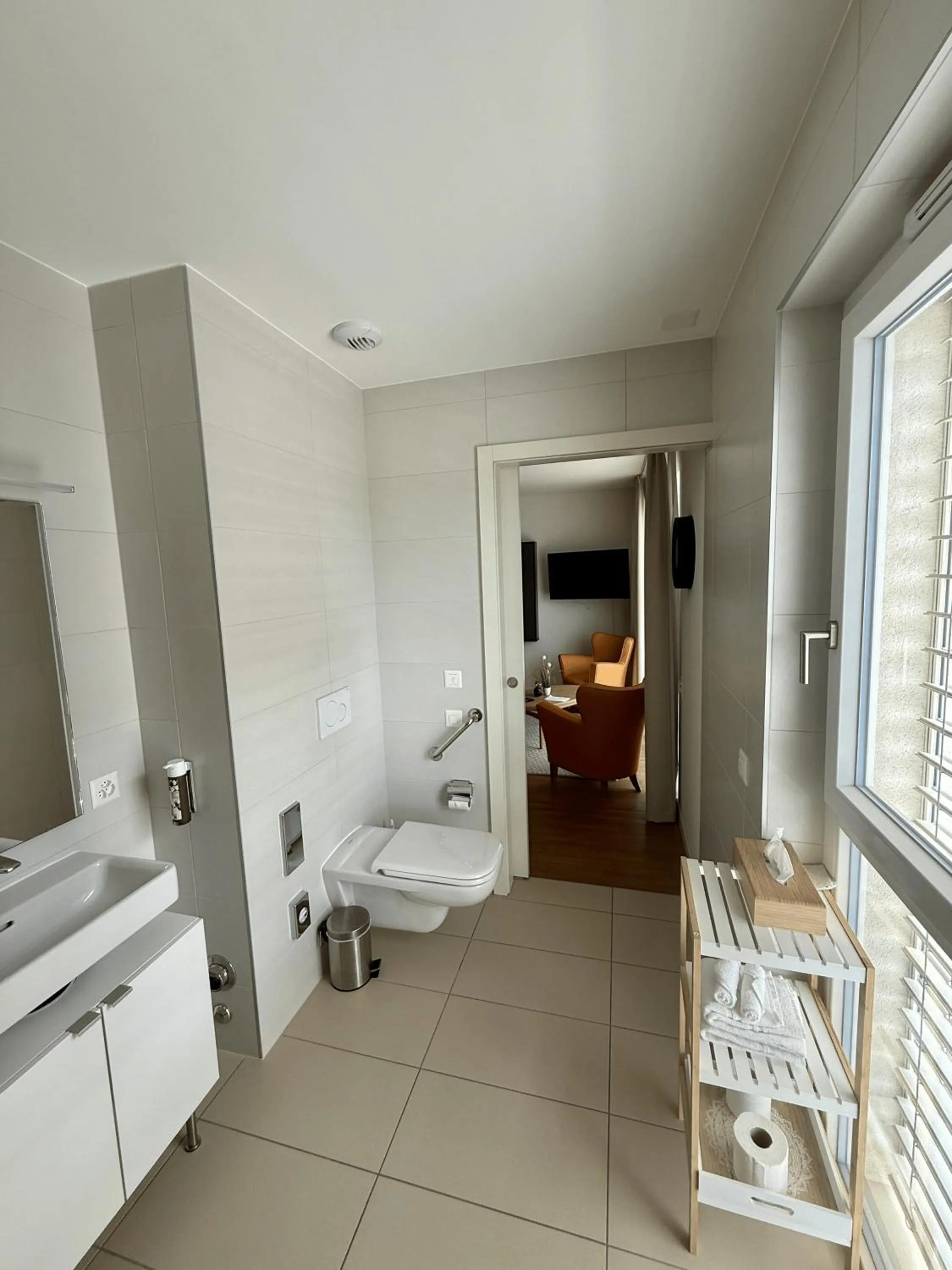 Toilet in Alp Art Hotel Monthey