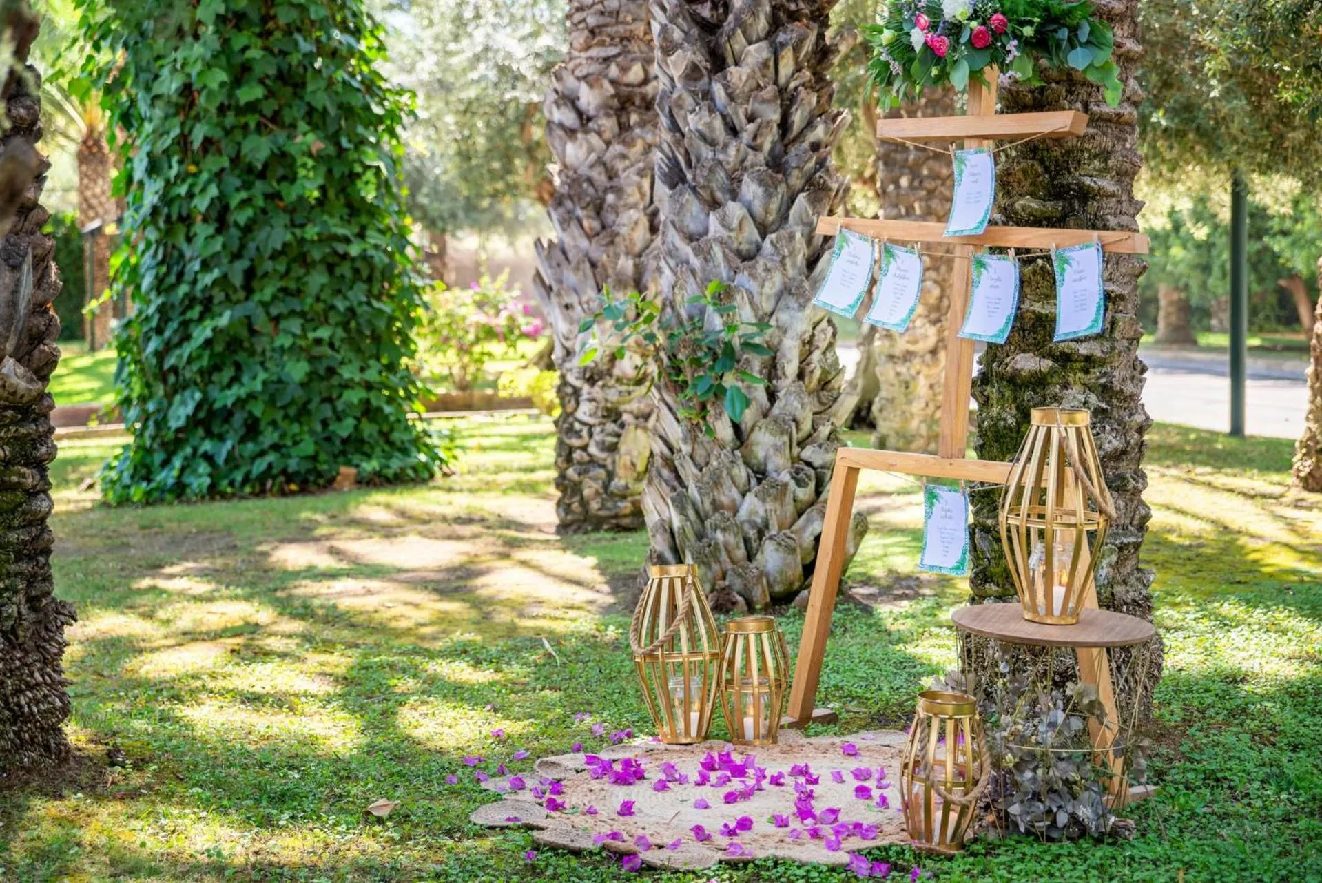 Nightclub / DJ in Port Jardín Milenio