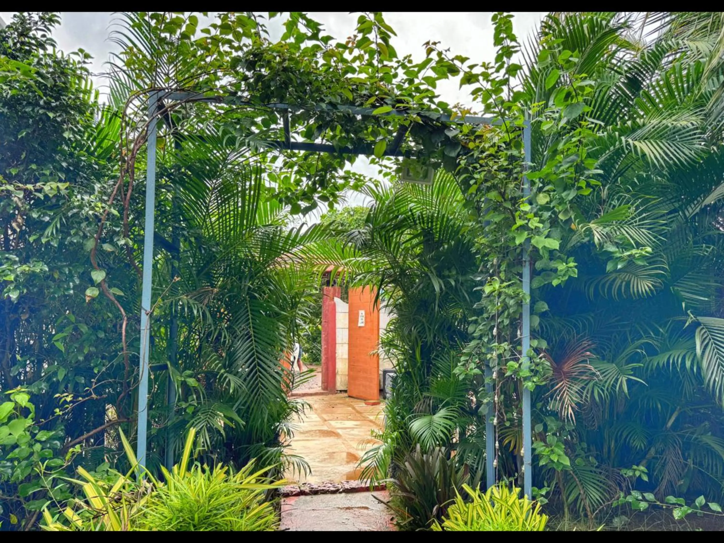 Day in White Truffle Resort, Arambol