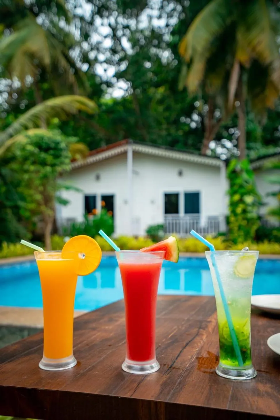 White Truffle Resort, Arambol