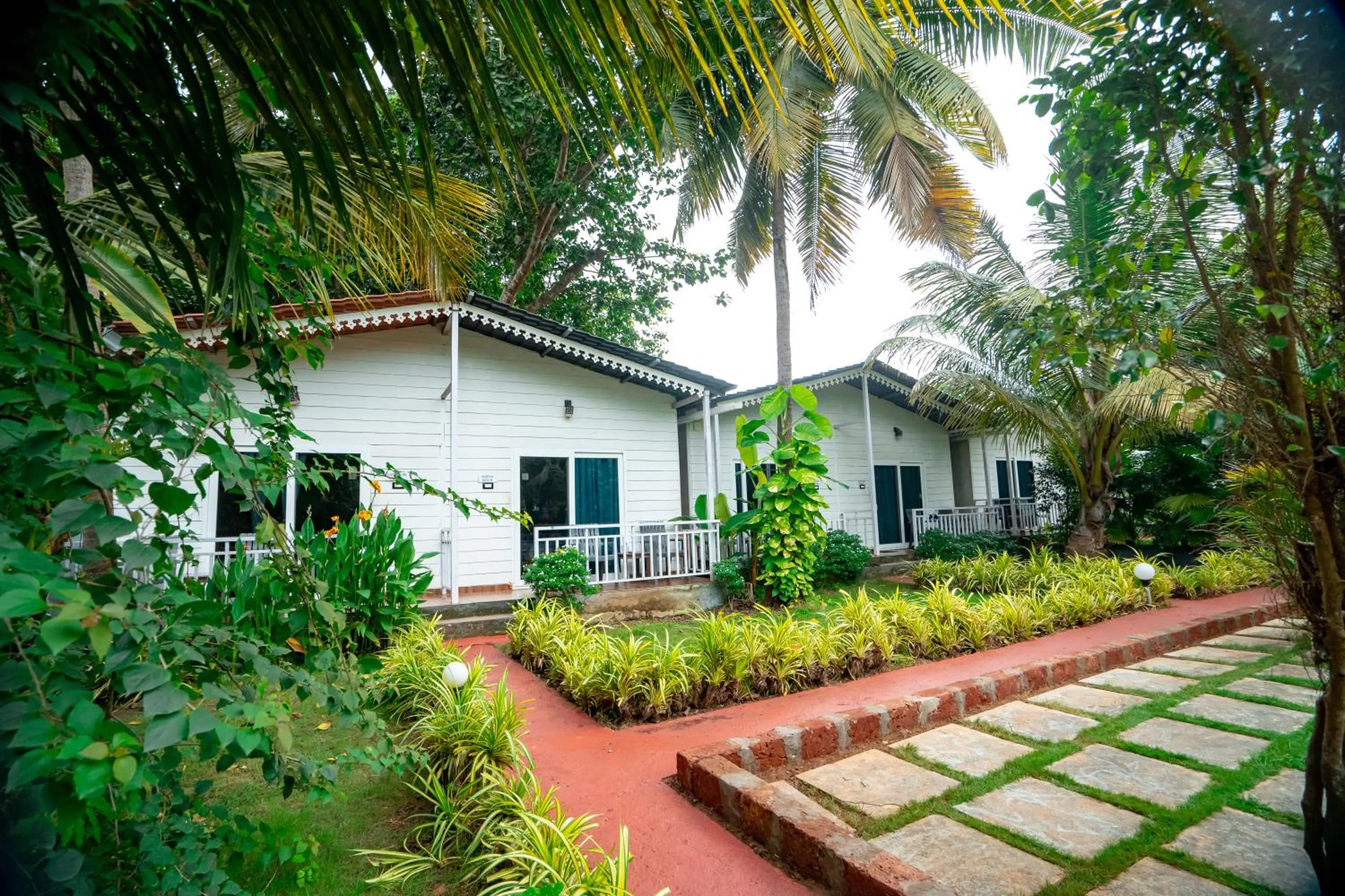 White Truffle Resort, Arambol