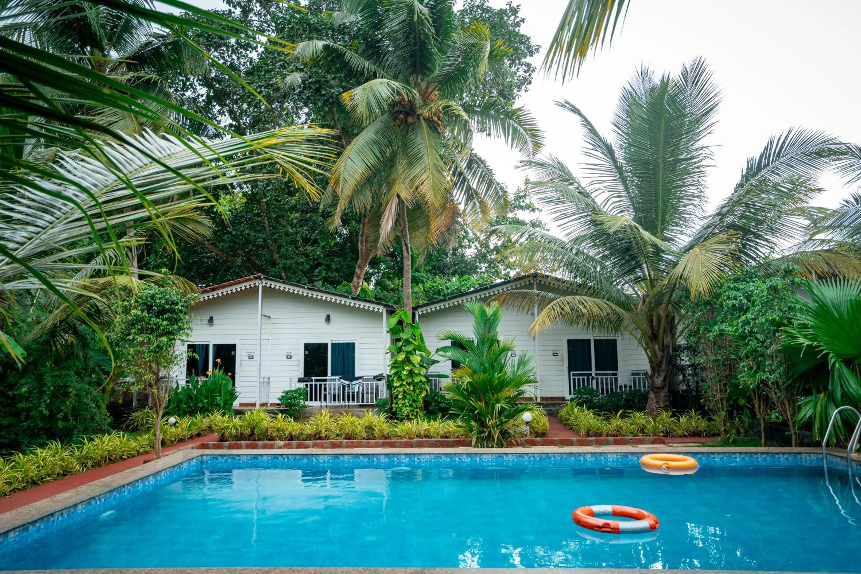 White Truffle Resort, Arambol