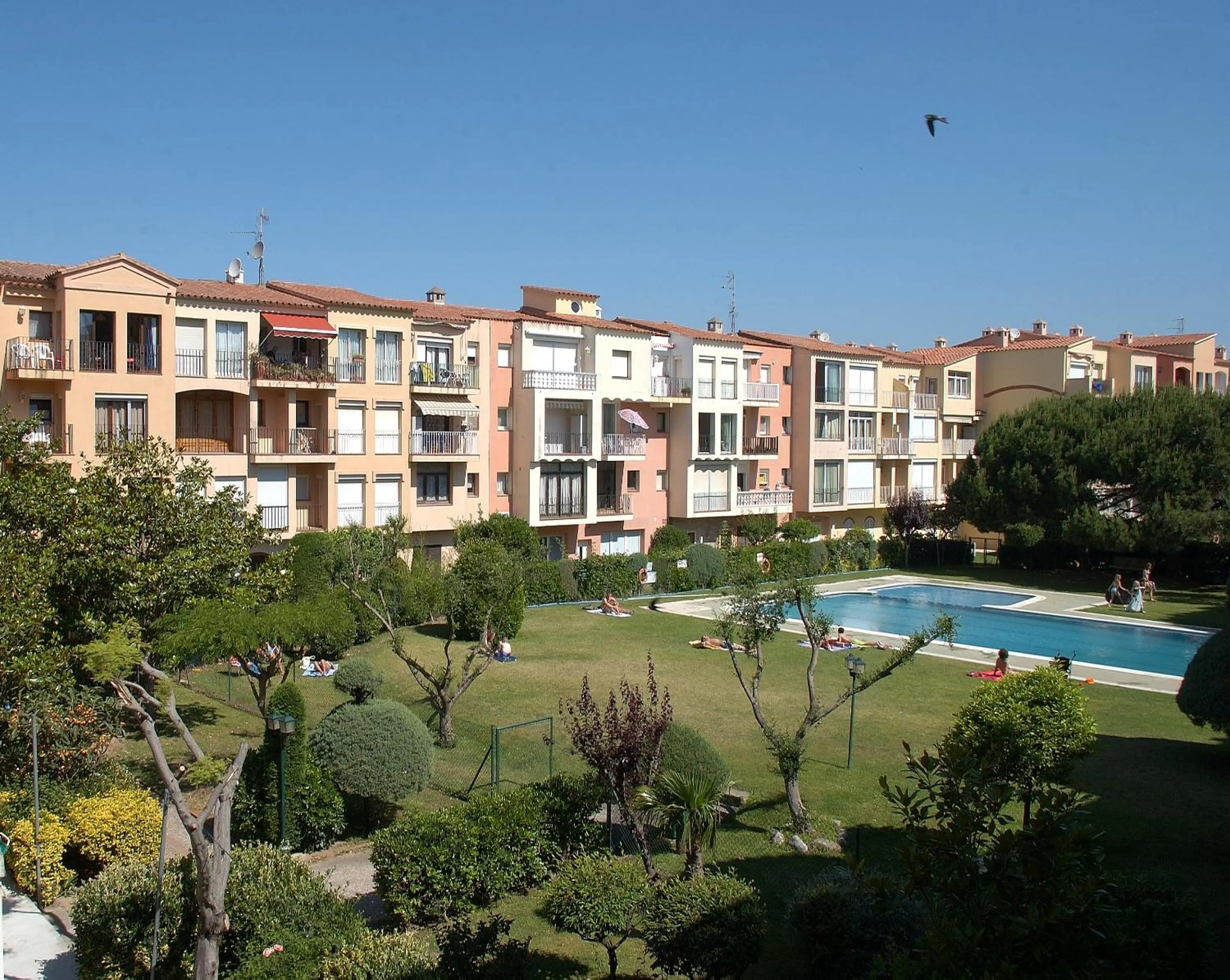 Garden in Aptos. Comte D´Empuries