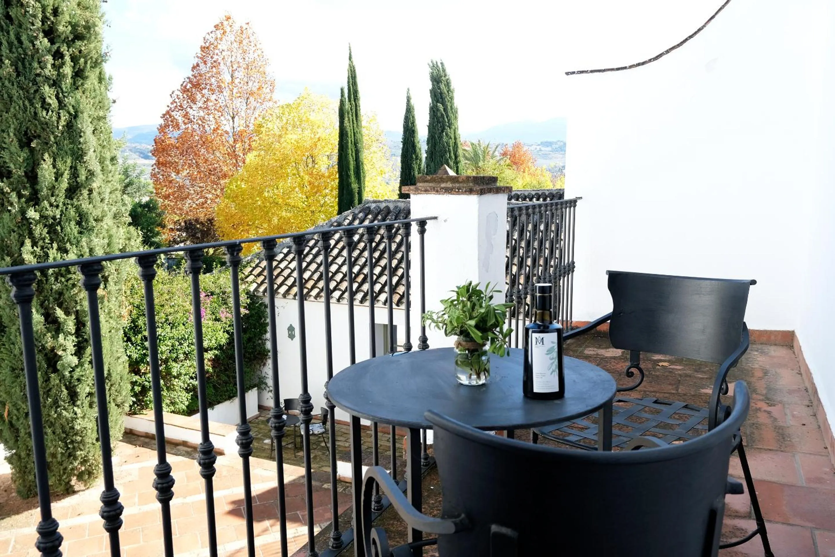 Balcony/Terrace in Hotel Boutique Molino del Arco