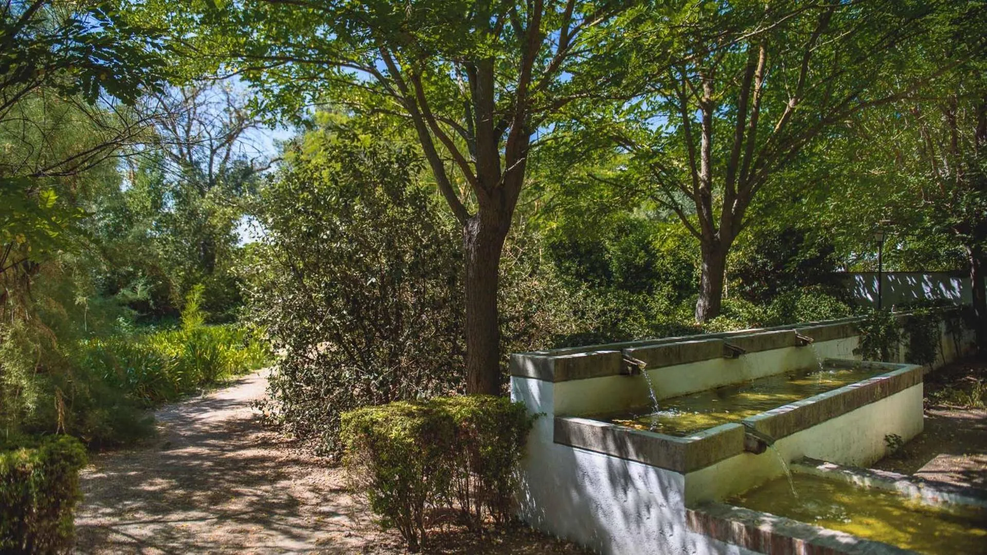 Garden in Hotel Boutique Molino del Arco