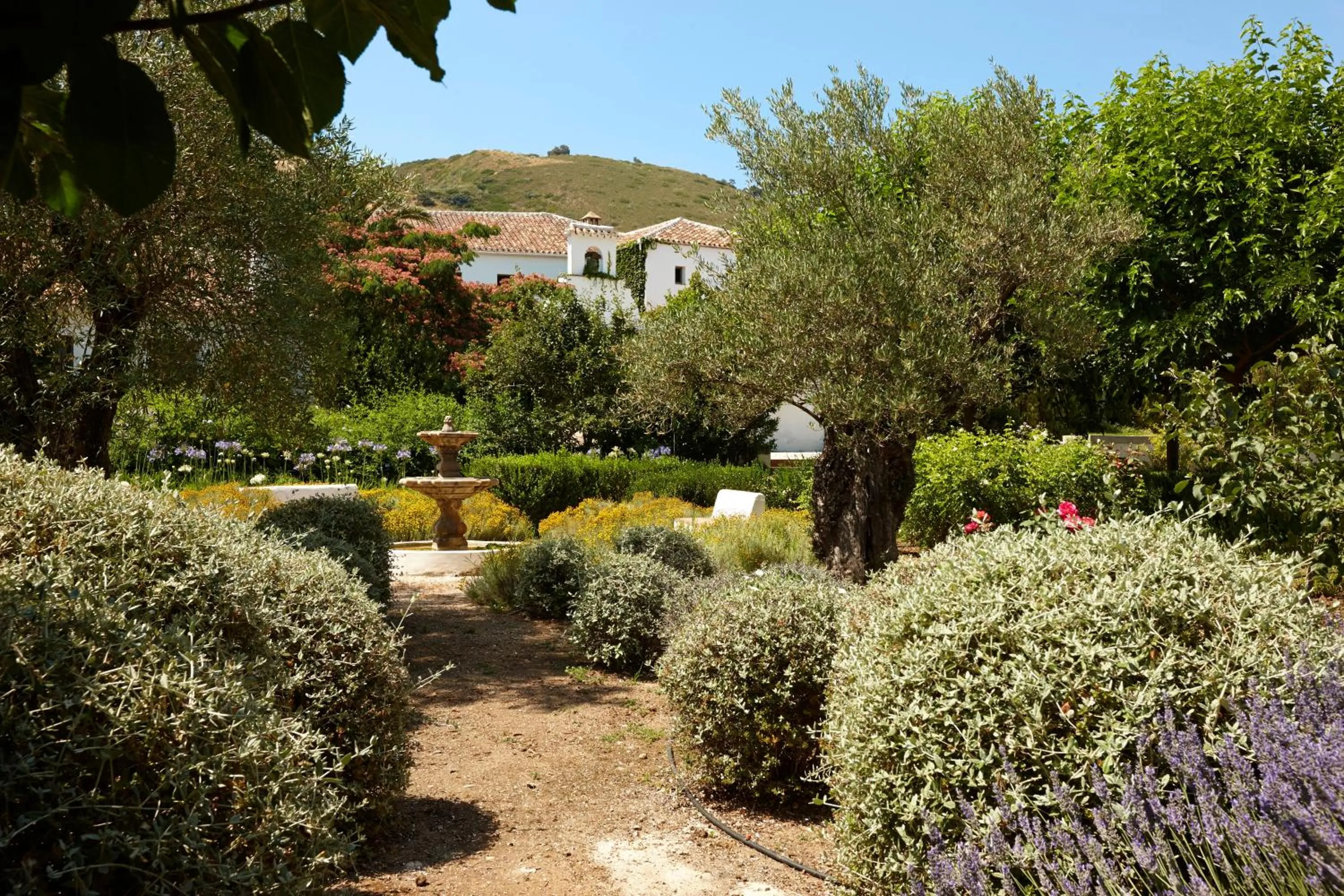 Garden in Hotel Boutique Molino del Arco