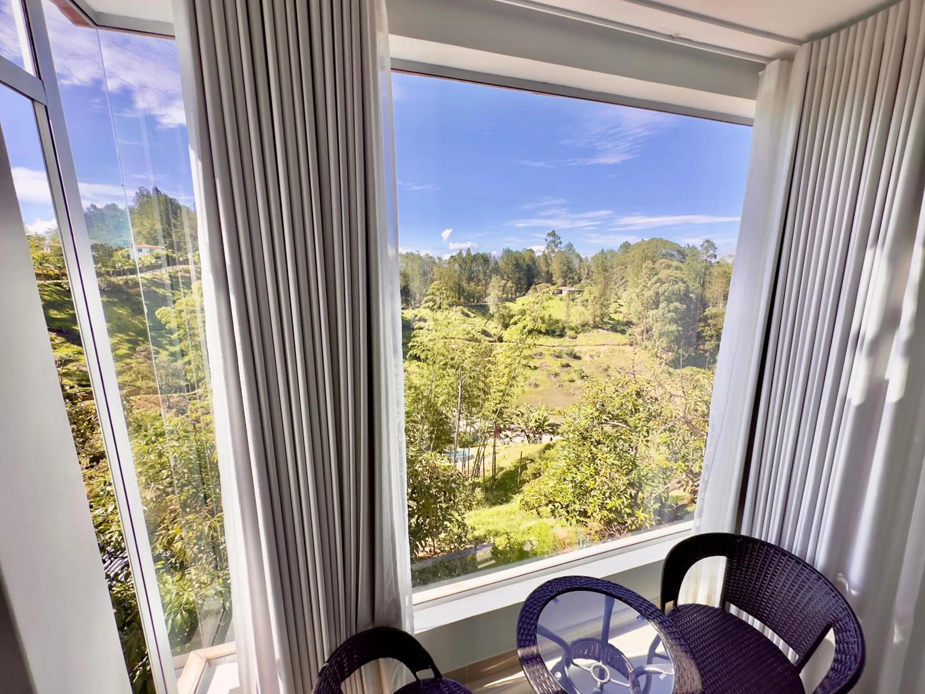 Garden view in Arvum Hotel Boutique