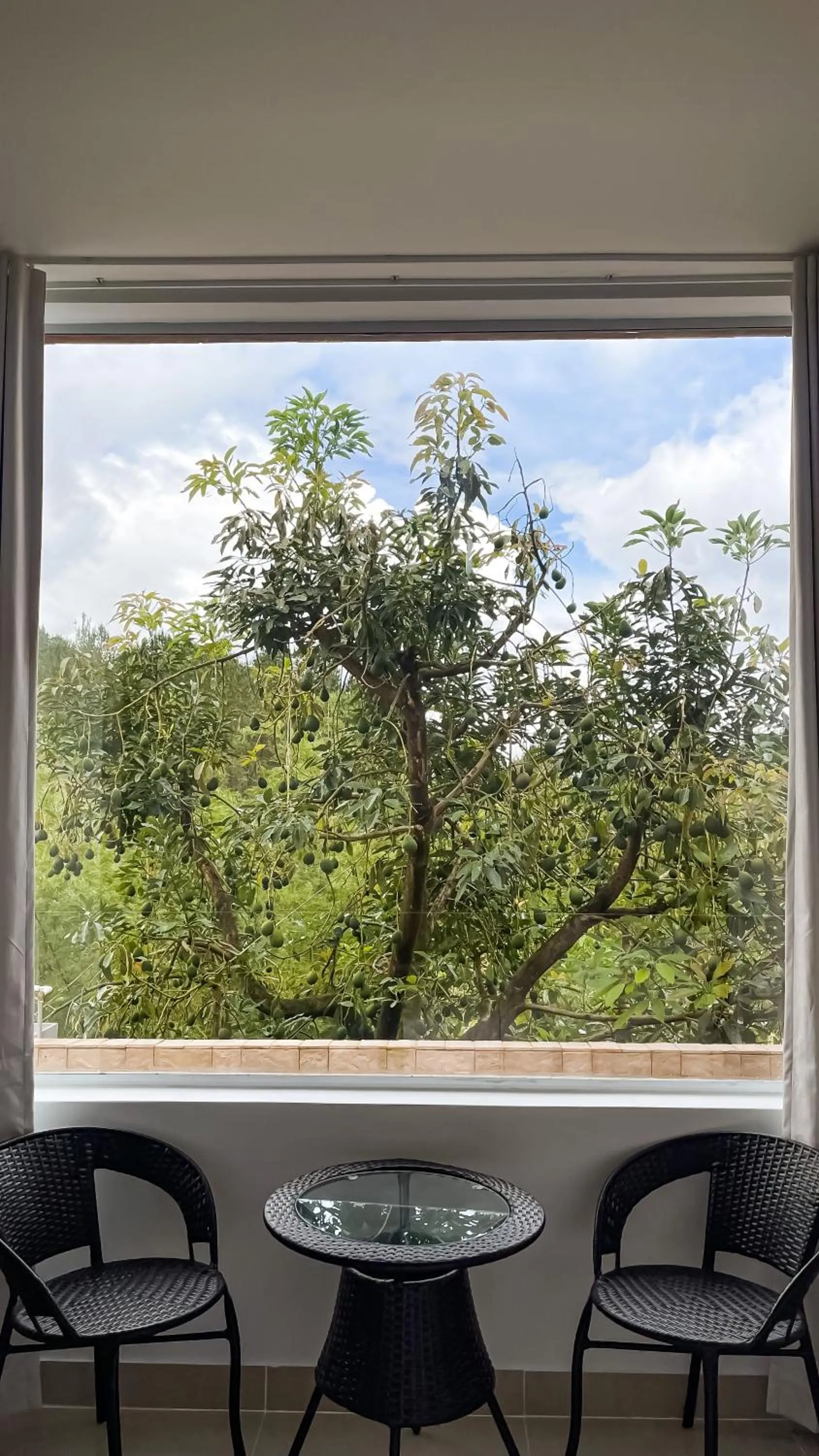 Natural landscape in Arvum Hotel Boutique