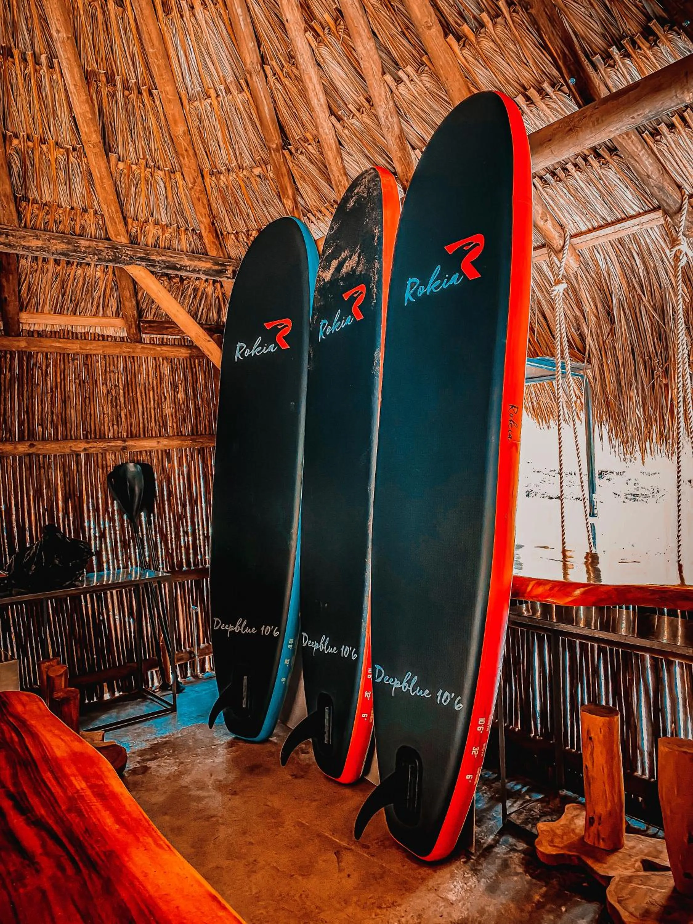 Activities in Arvum Hotel Boutique