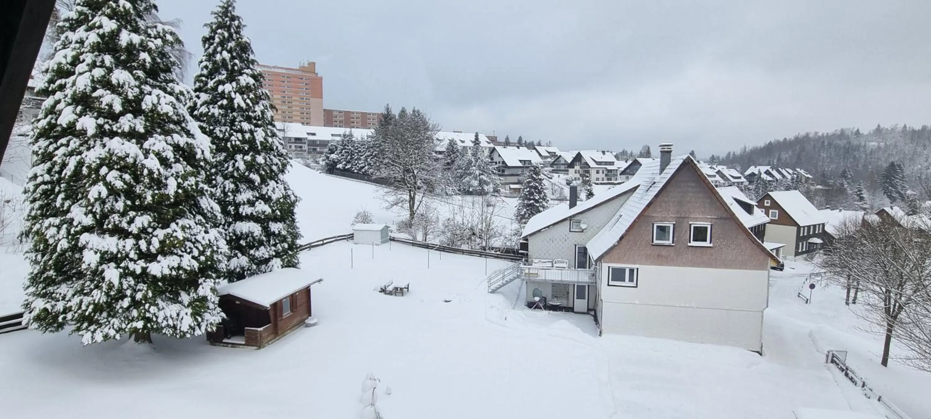 Winter in Orchidee Altenau