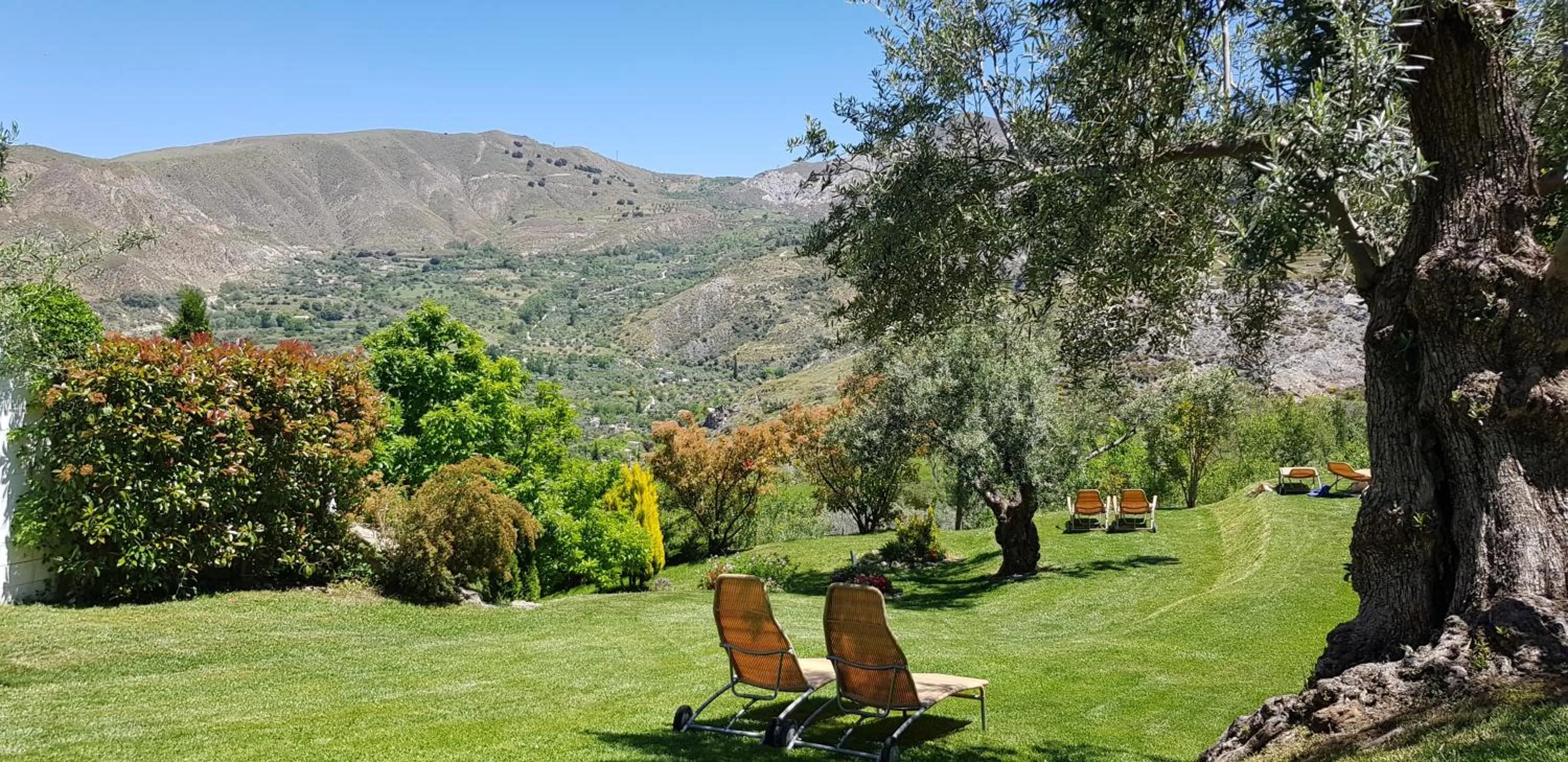 Garden in La Almunia del Valle