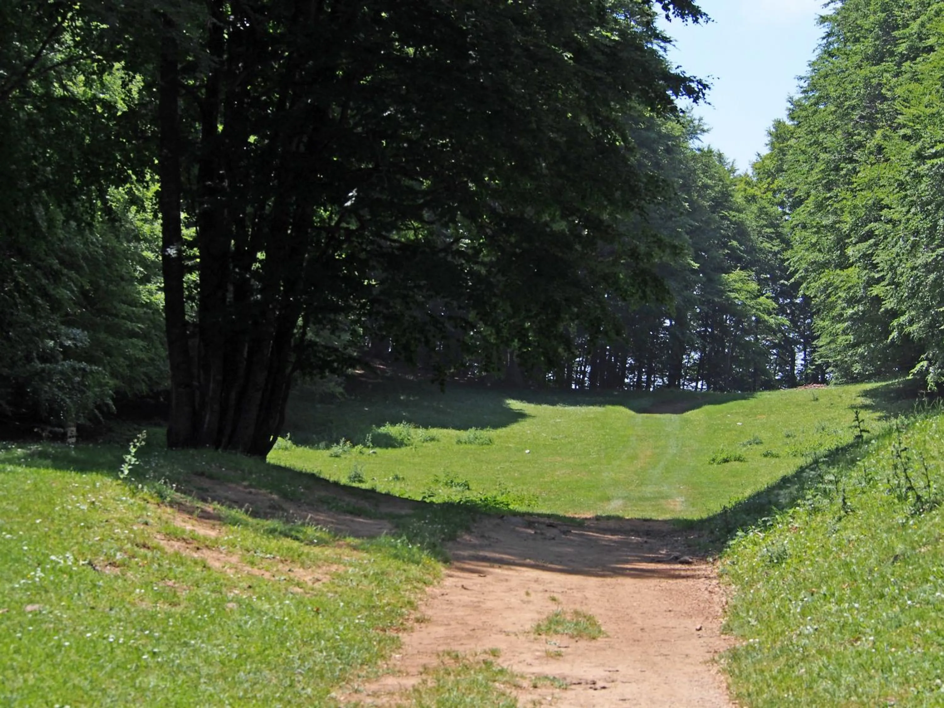 Natural landscape in Il Belvedere