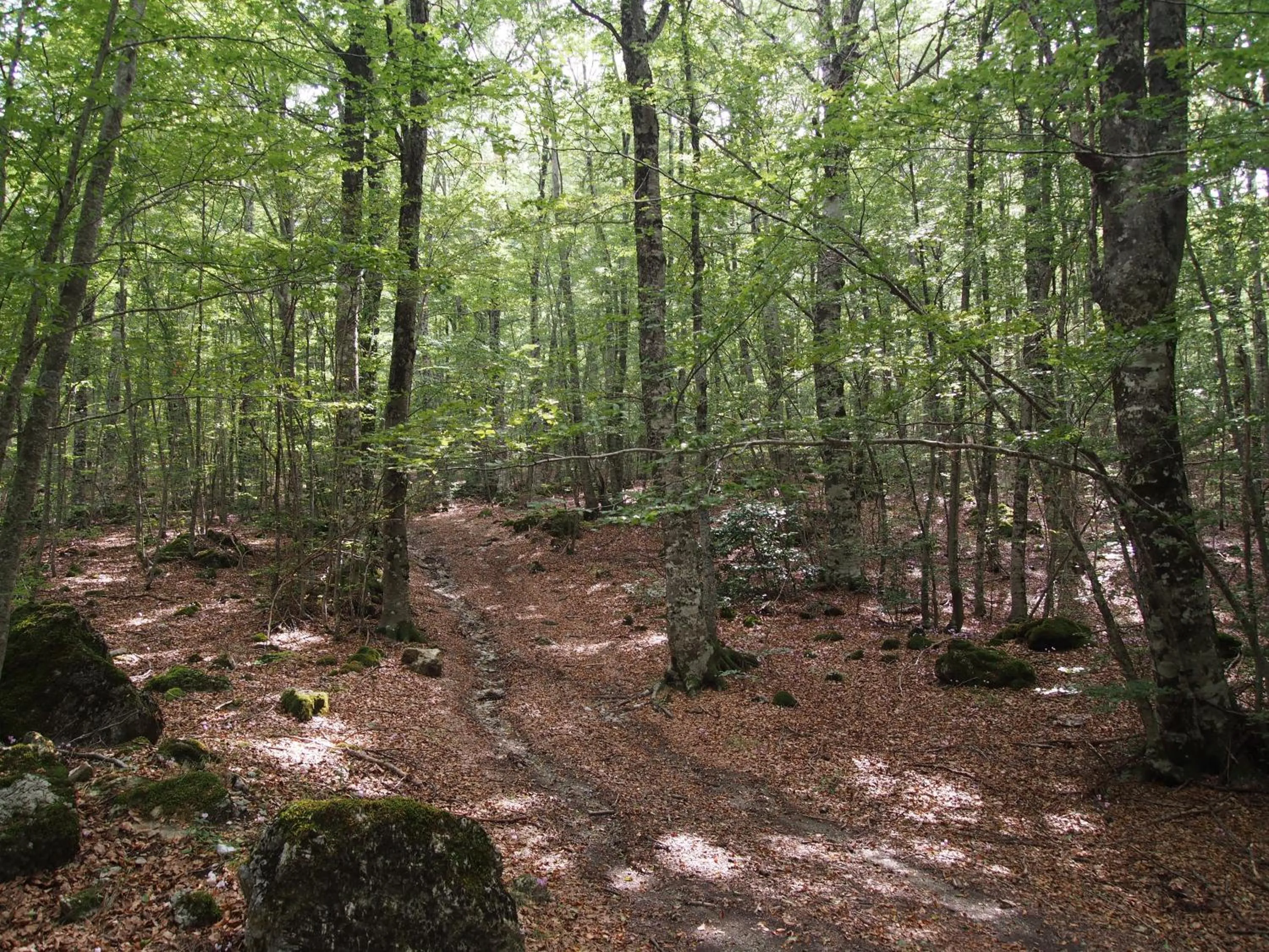 Natural landscape in Il Belvedere