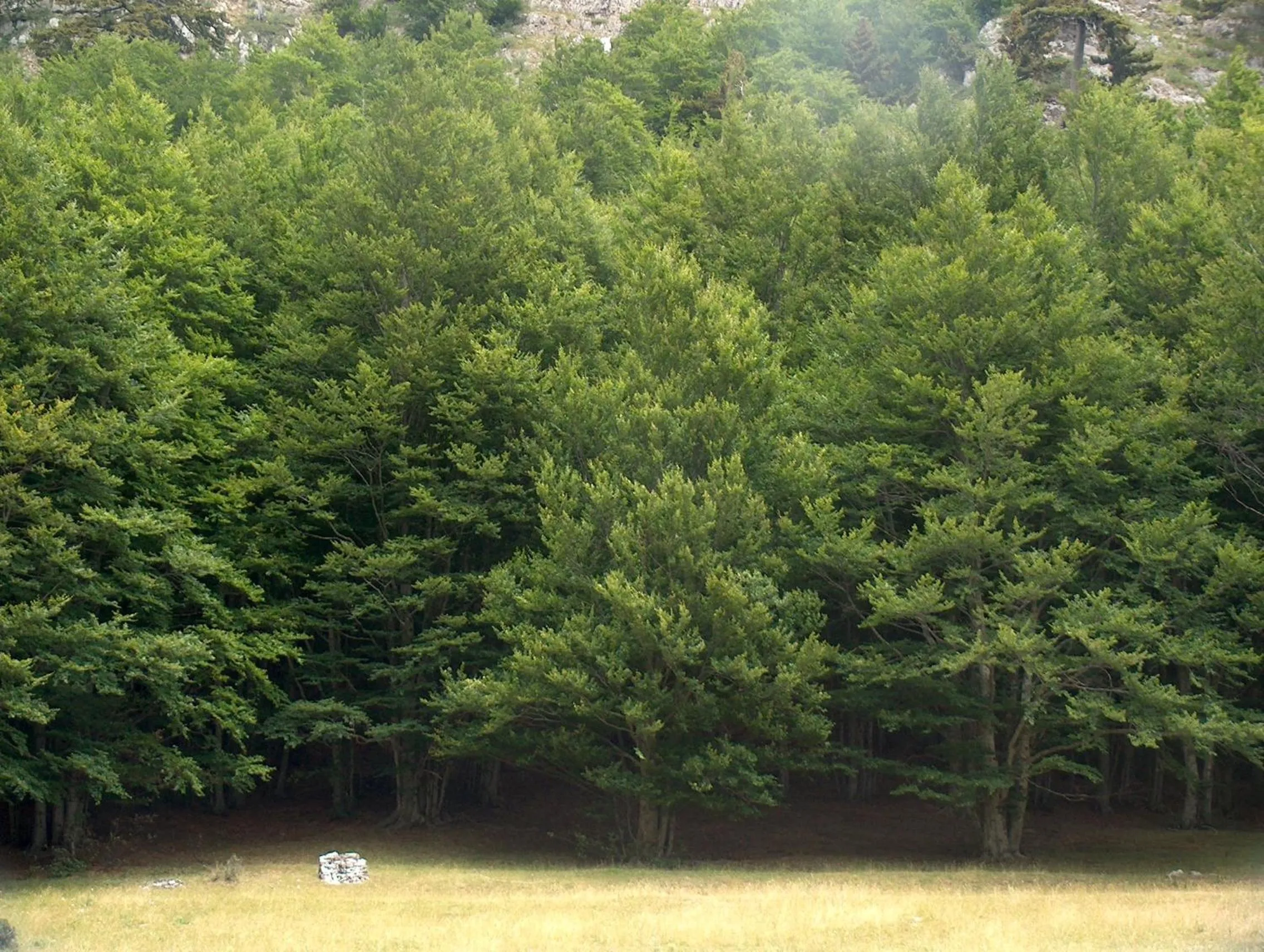 Natural landscape in Il Belvedere
