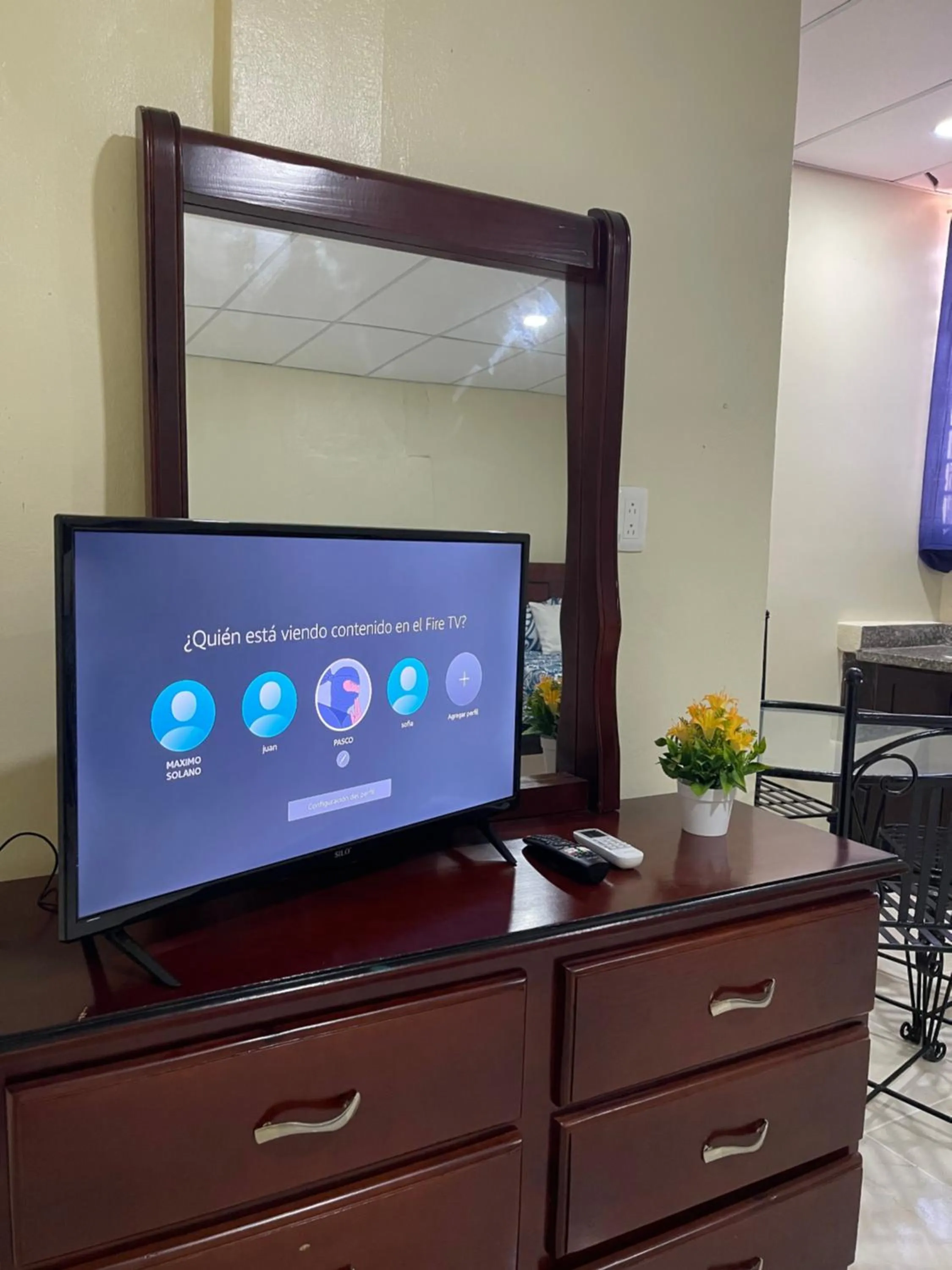 TV and multimedia in VBermor Hotel