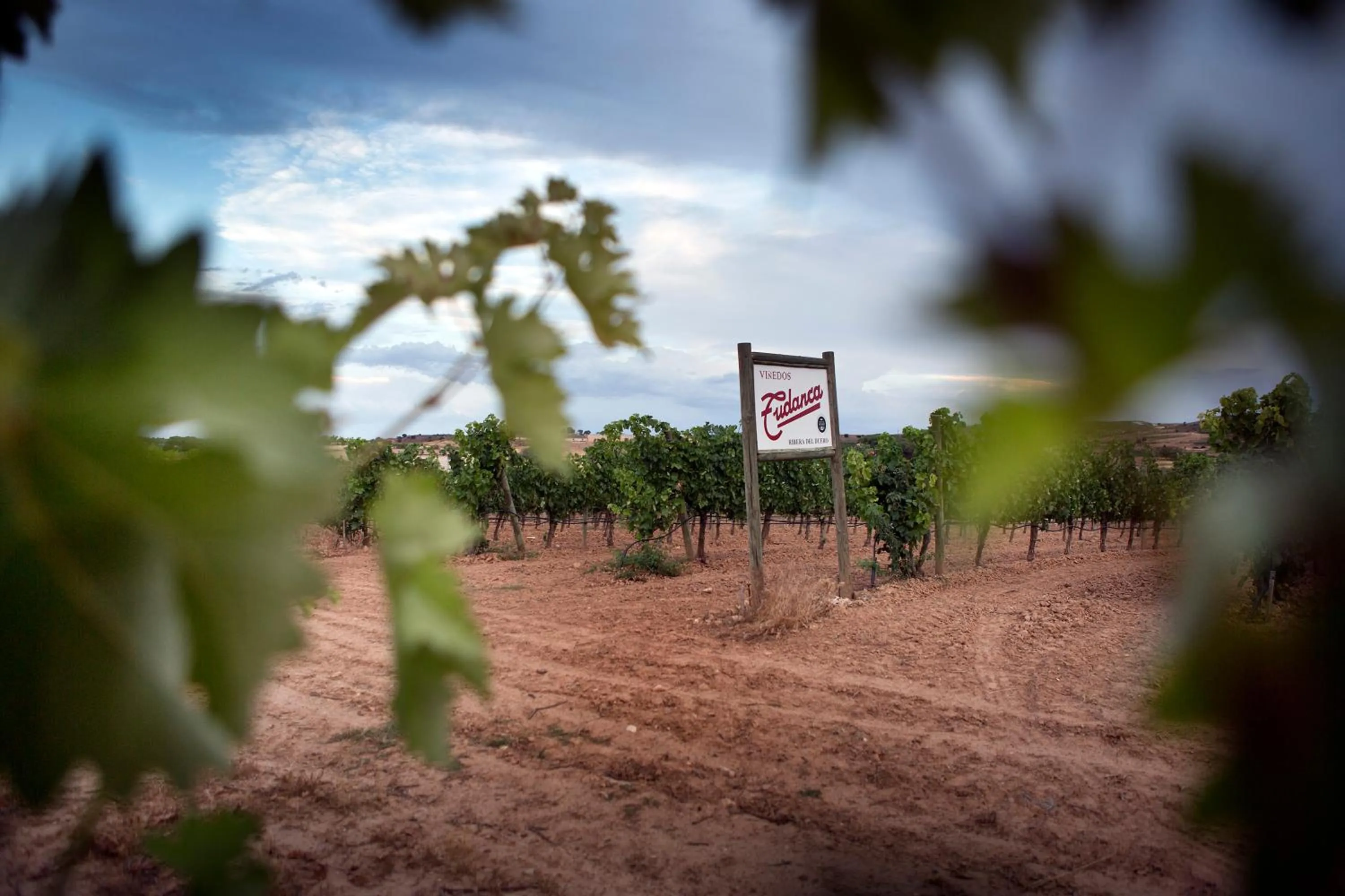 Area and facilities in Hotel Spa Tudanca Aranda