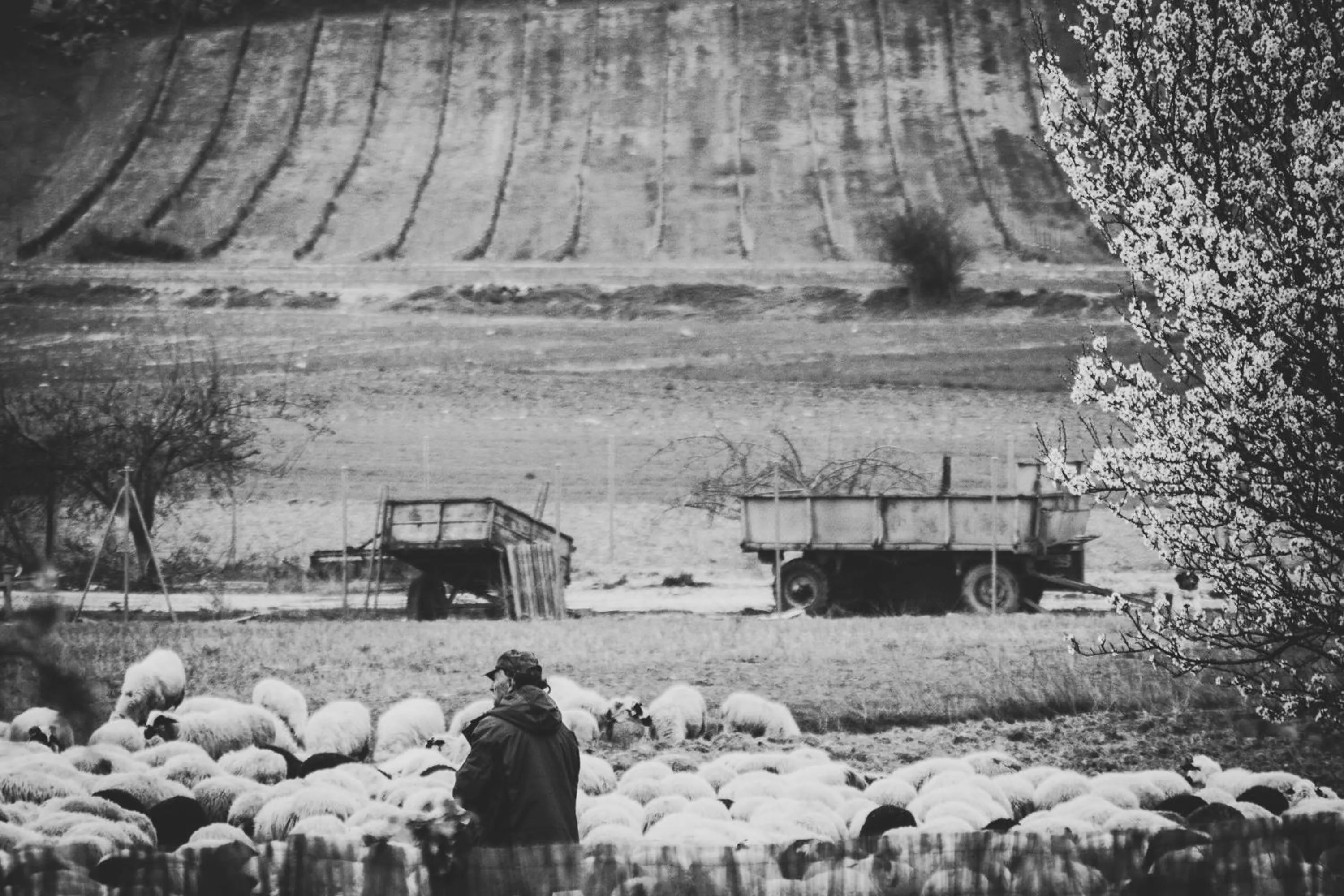 Area and facilities in Hotel Spa Tudanca Aranda