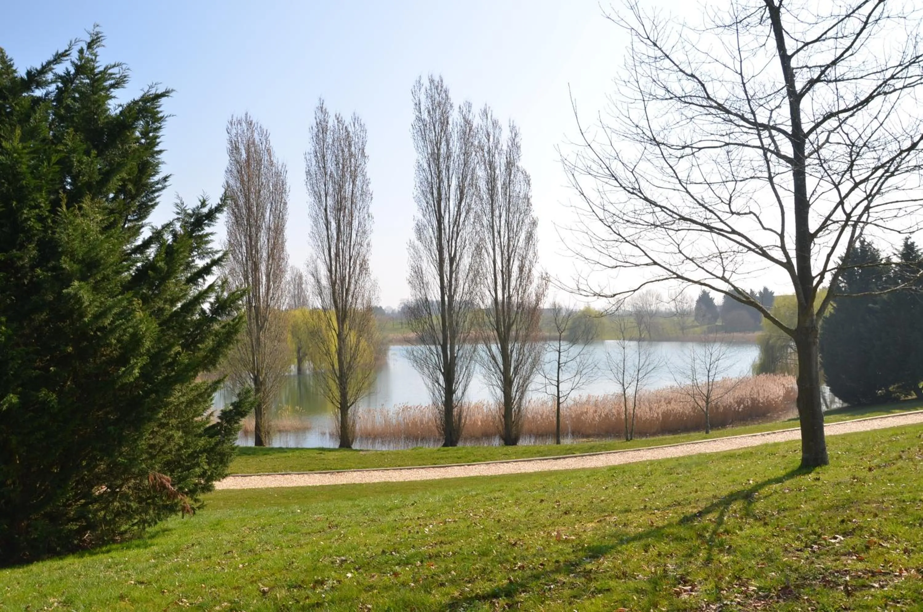 Area and facilities in Espace Leonard De Vinci