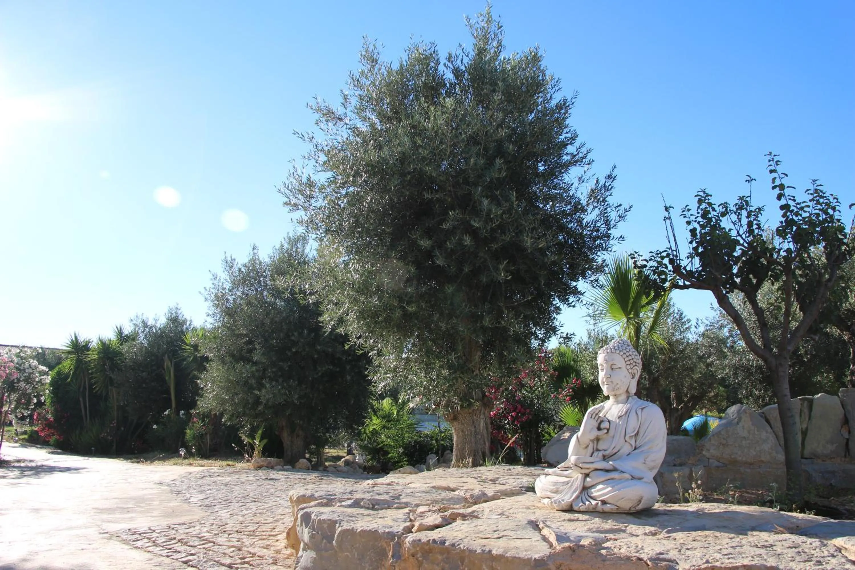Garden in Hotel de Charme Capela das Artes