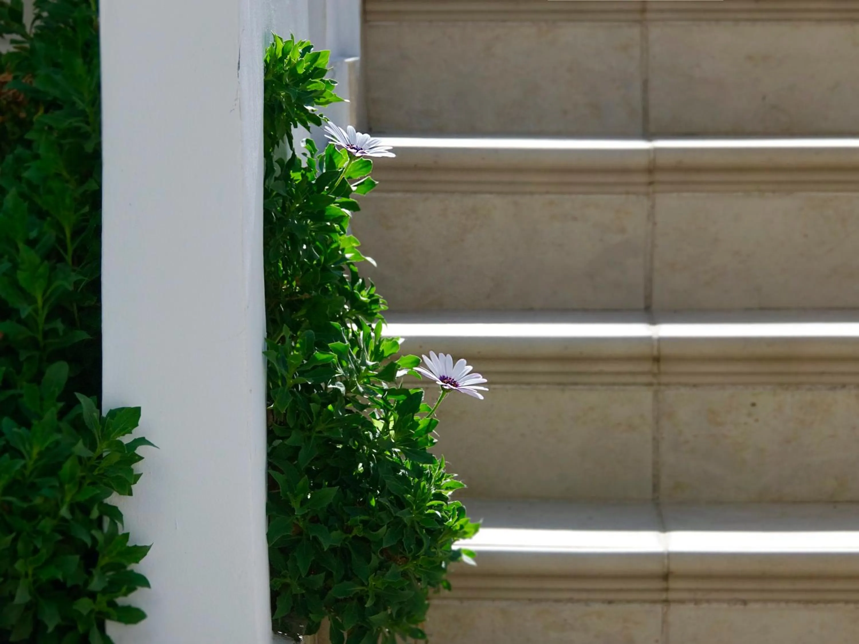 Decorative detail in Flamingos Hotel Apartments