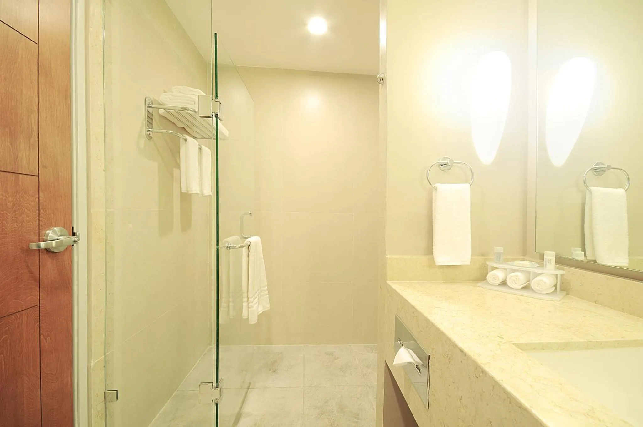 Bathroom in Holiday Inn Express Puerto Vallarta by IHG