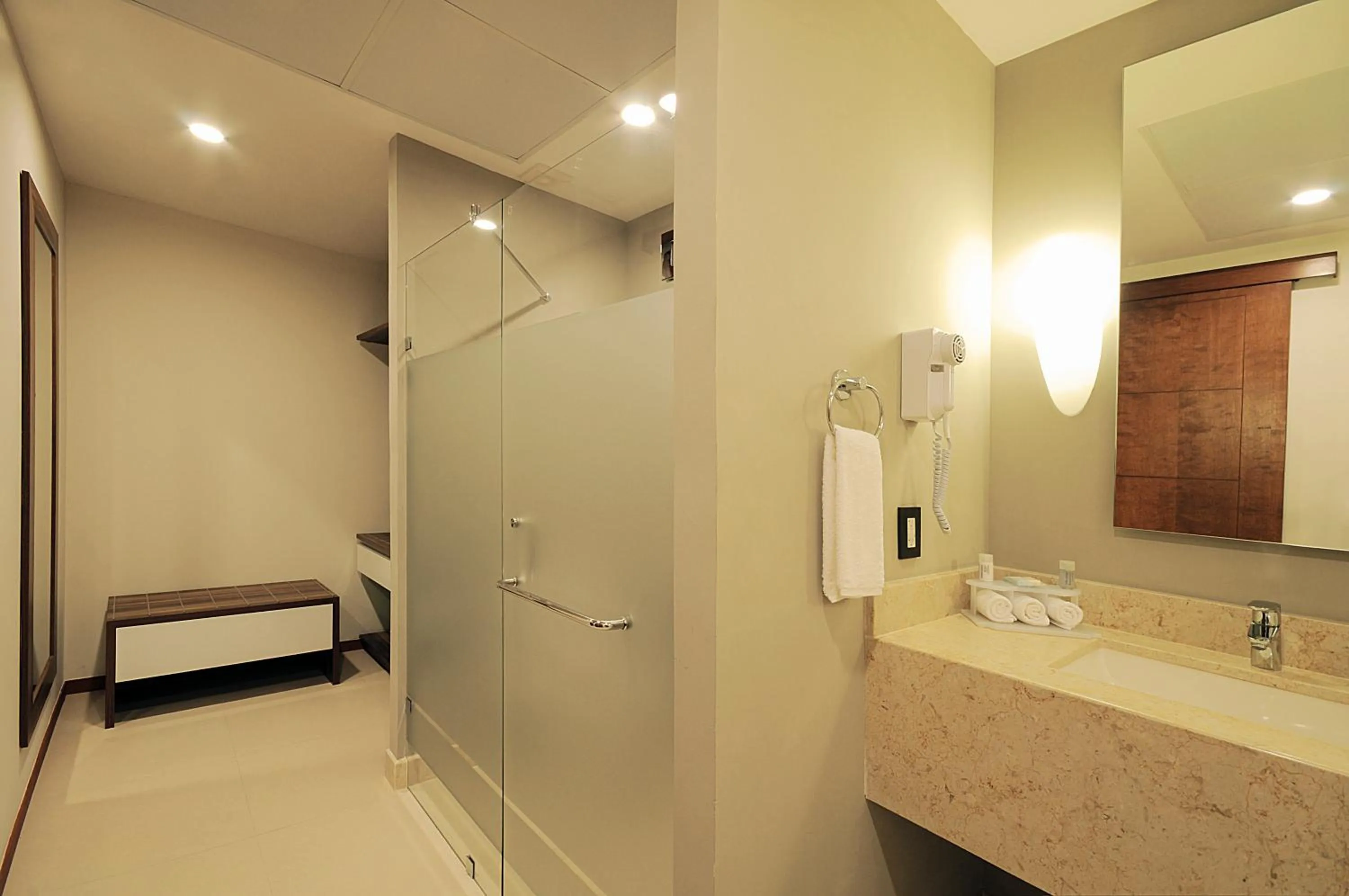 Bathroom in Holiday Inn Express Puerto Vallarta by IHG