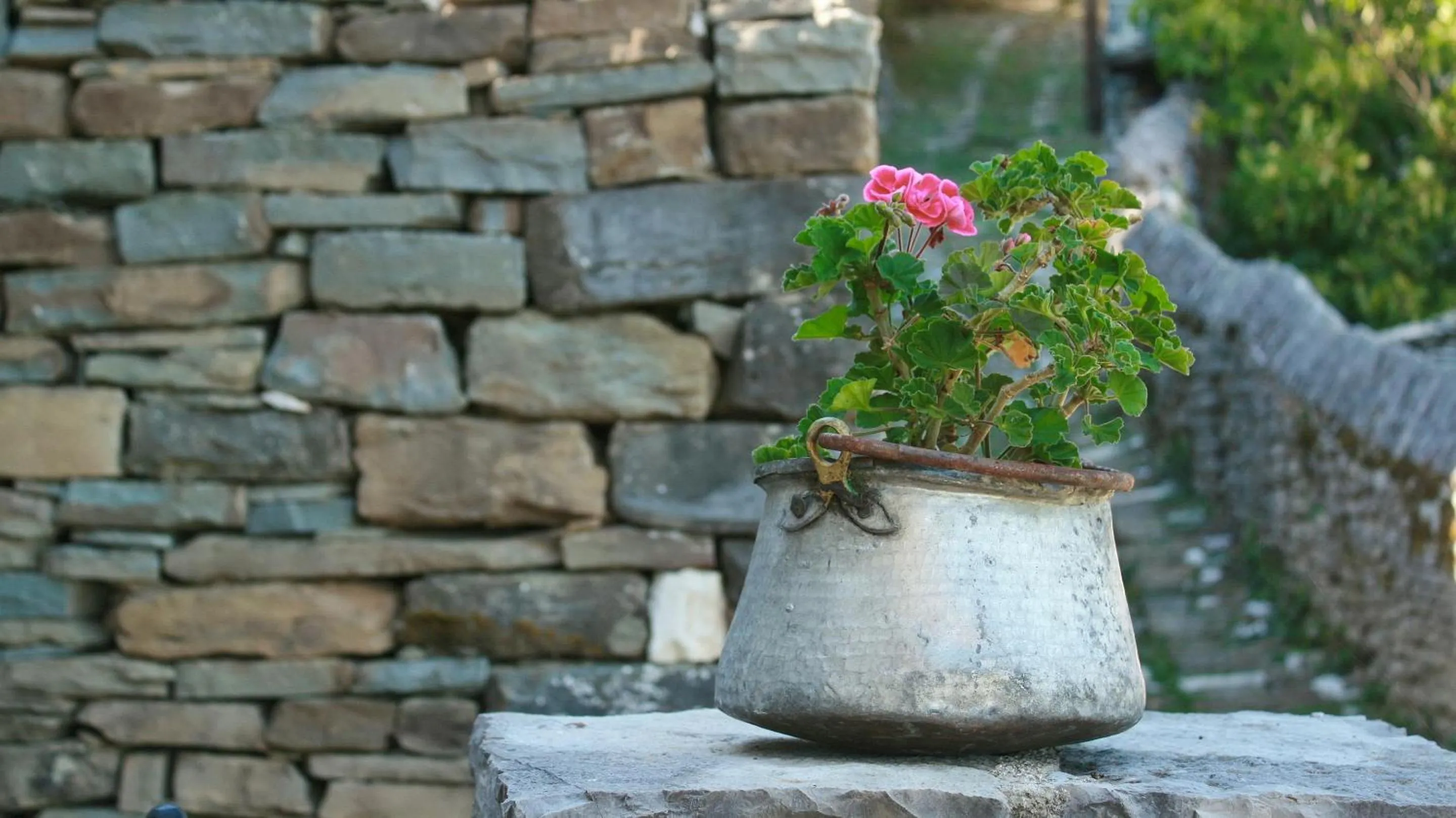 Natural landscape in Dilofo Hotel Luxury Suites