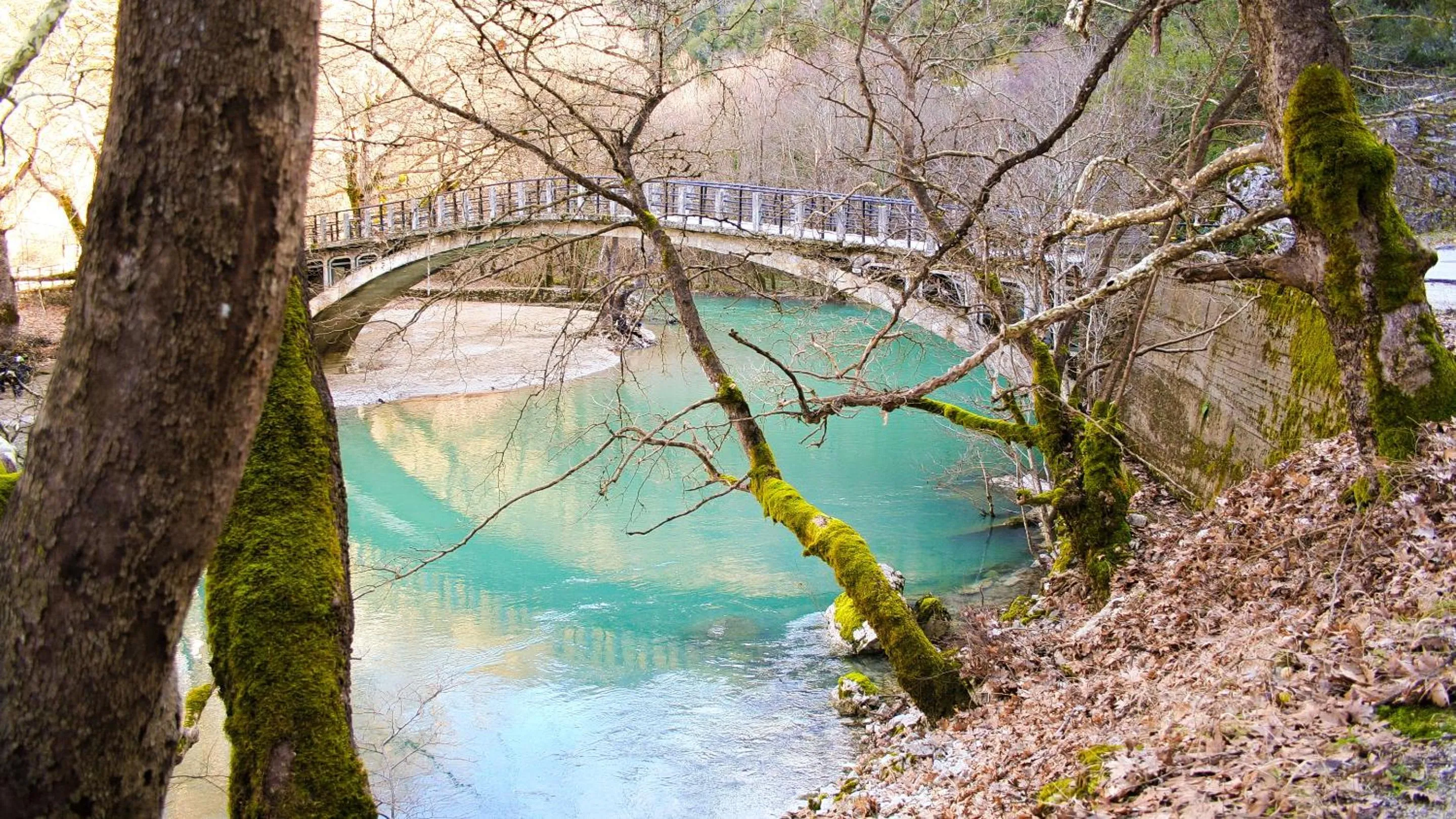 Natural landscape in Dilofo Hotel Luxury Suites
