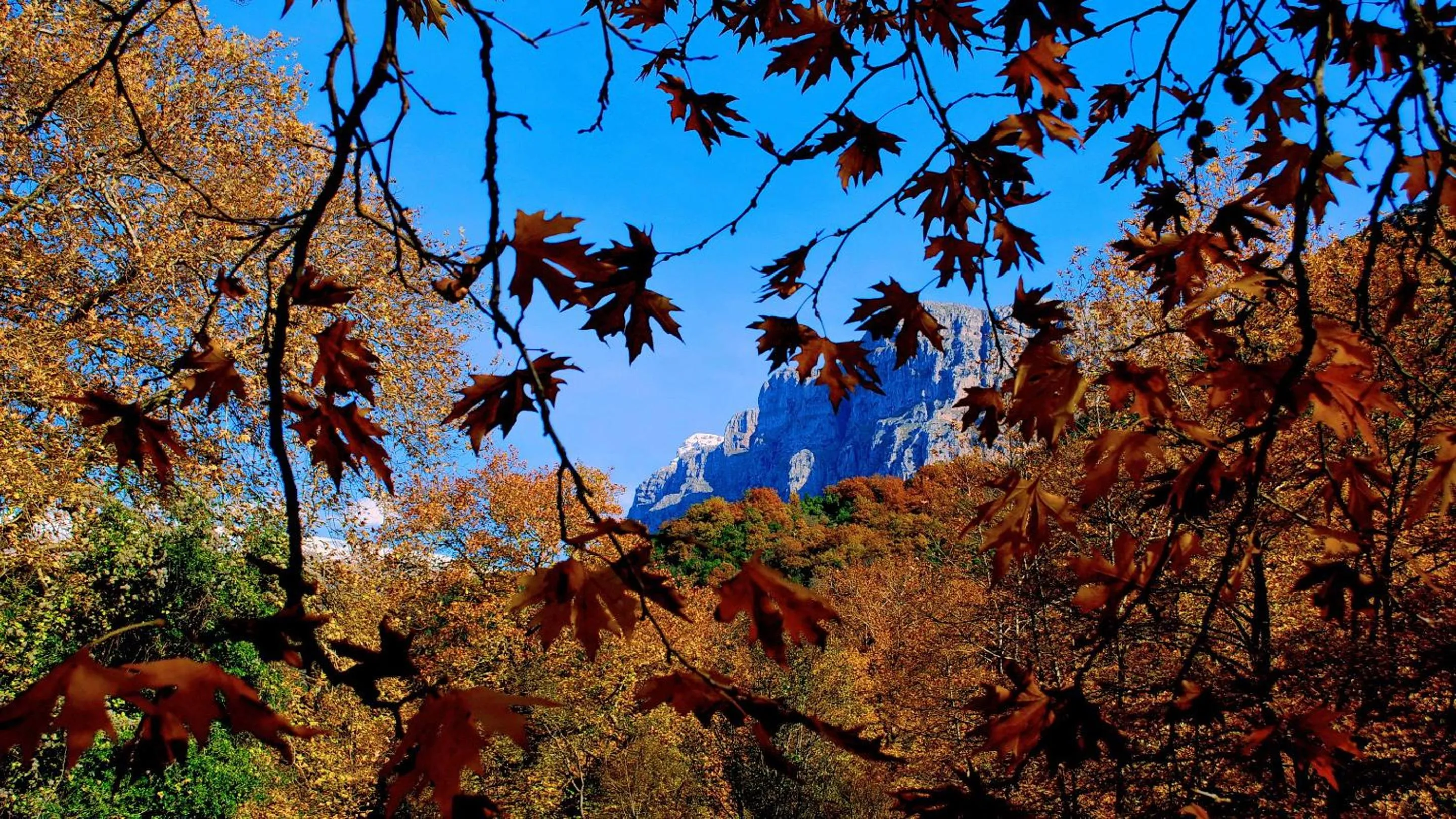 Natural landscape in Dilofo Hotel Luxury Suites